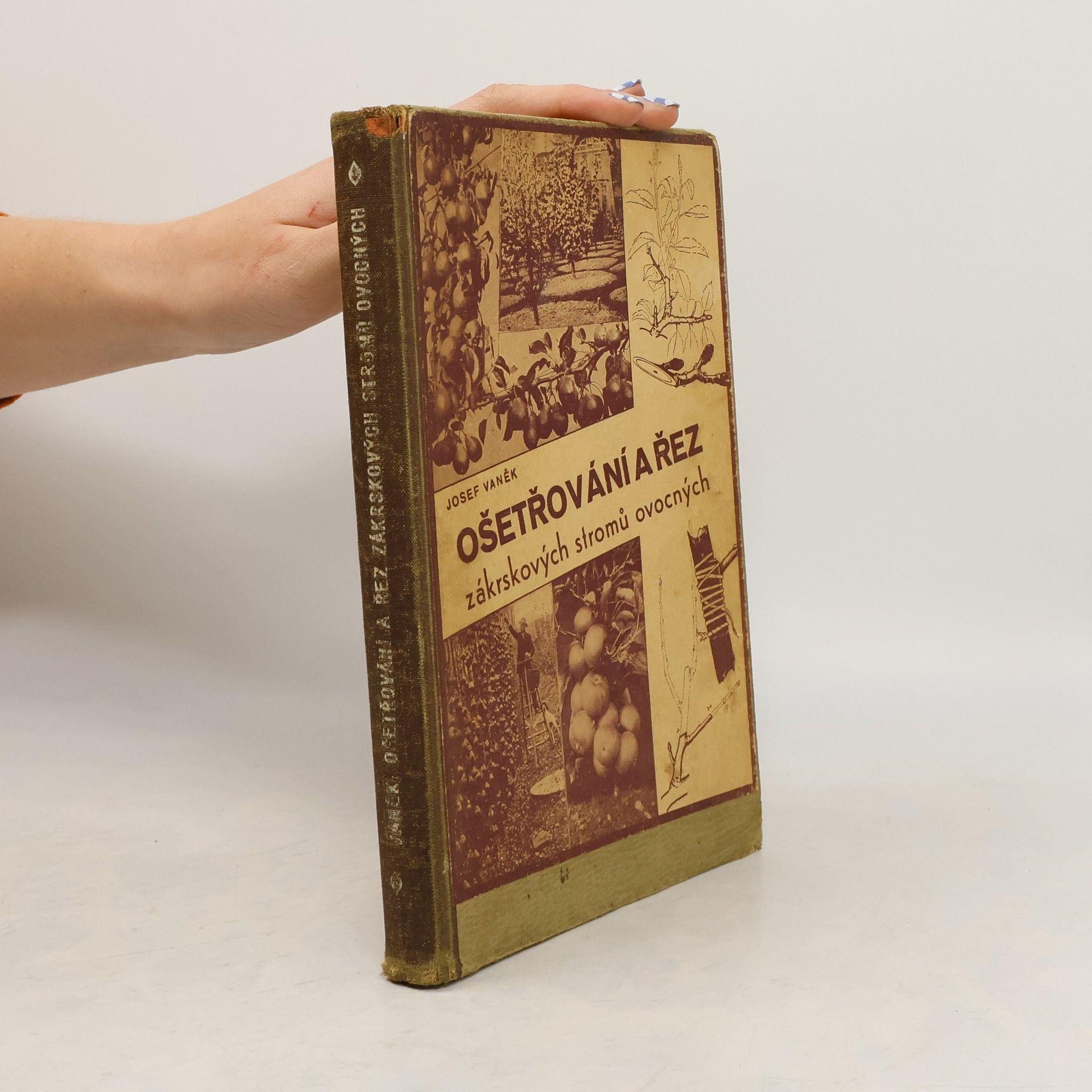 Josef Vaněk Ošetřování a řez zákrskových stromů ovocných