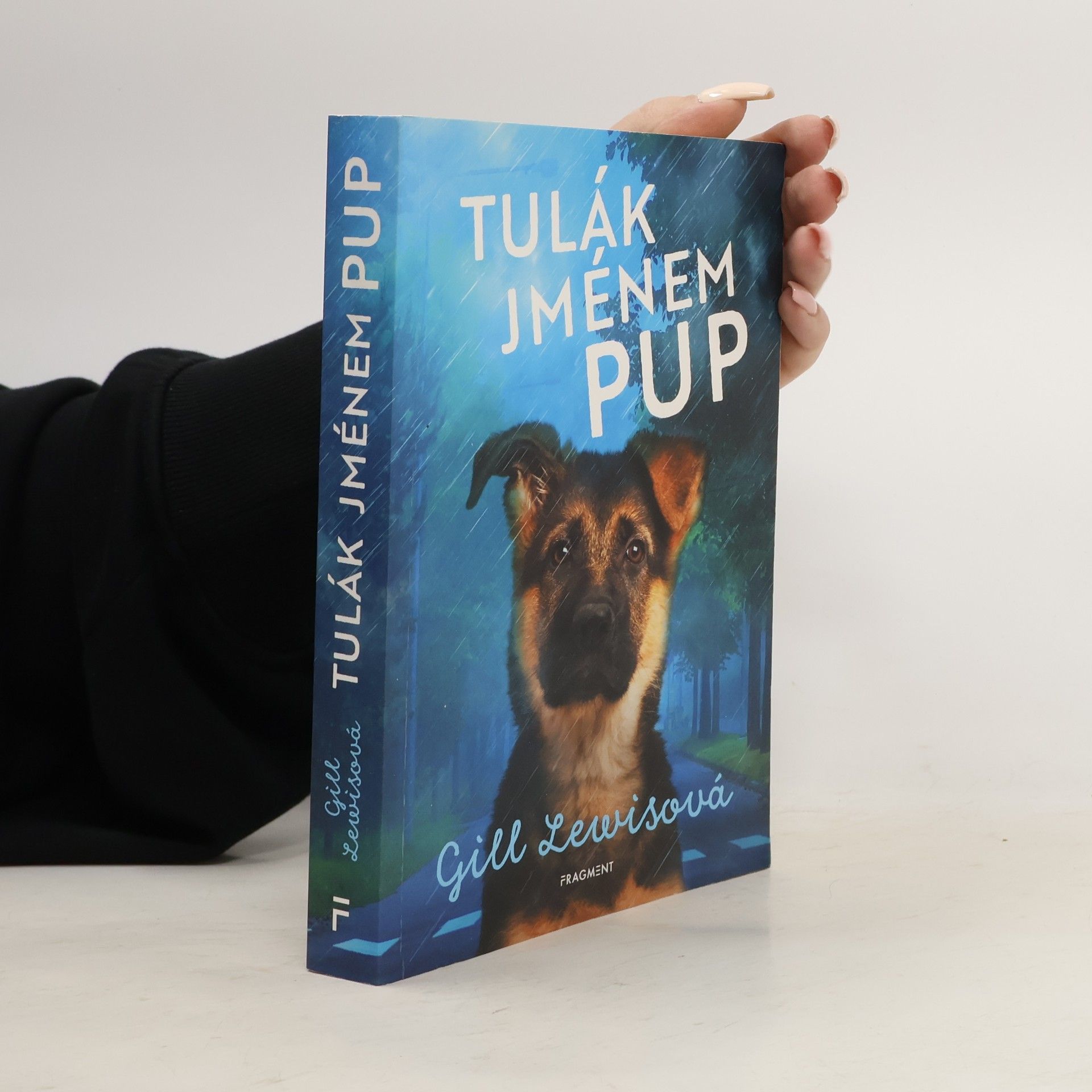 Gill Lewis Tulák jménem Pup