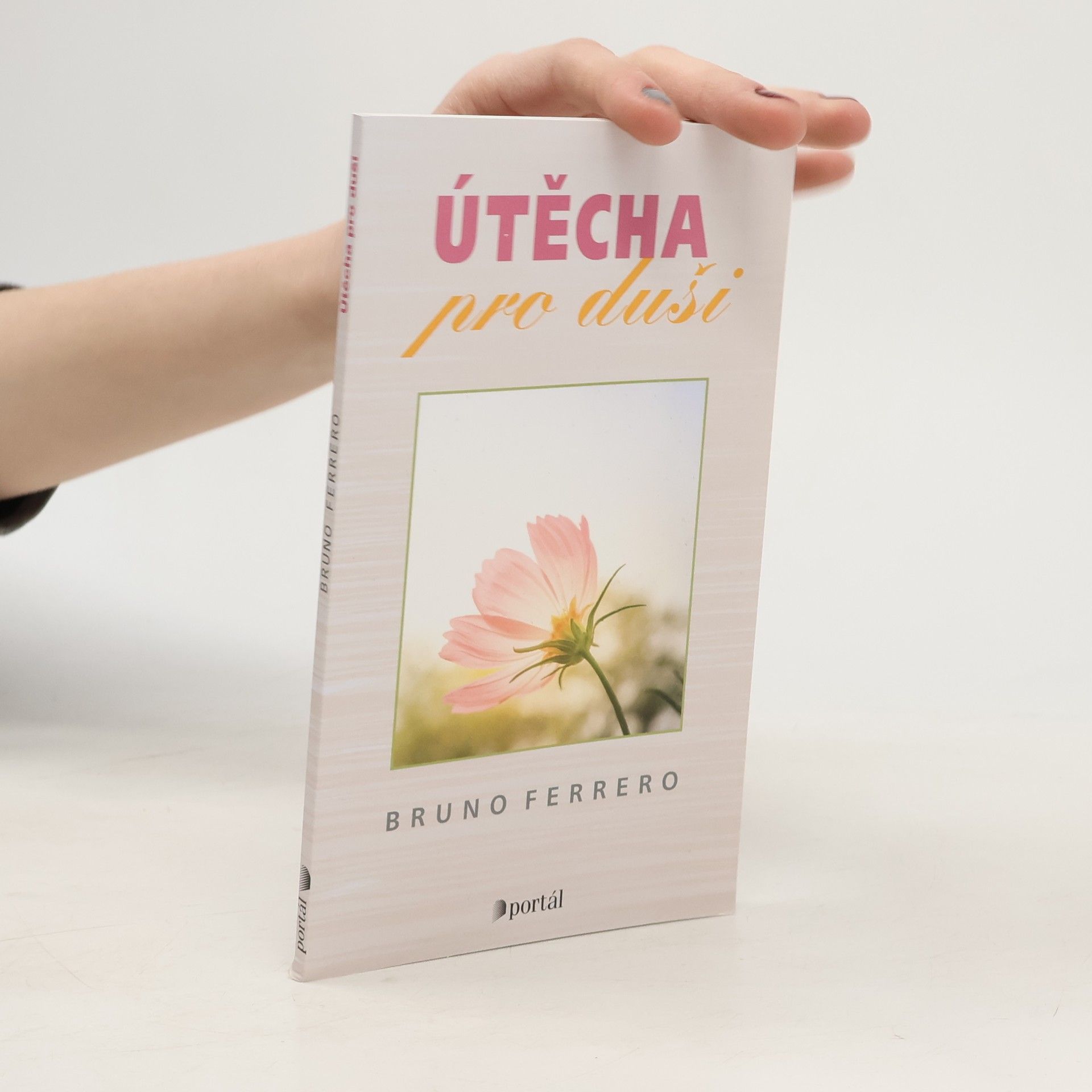 Bruno Ferrero Útěcha pro duši