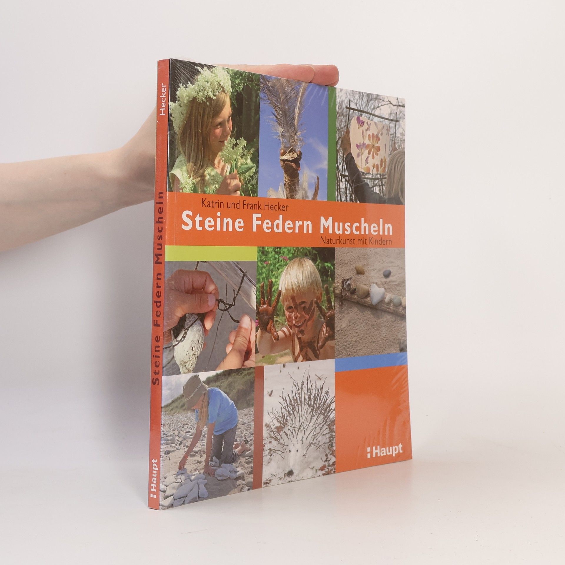 Katrin Hecker Steine, Federn, Muscheln