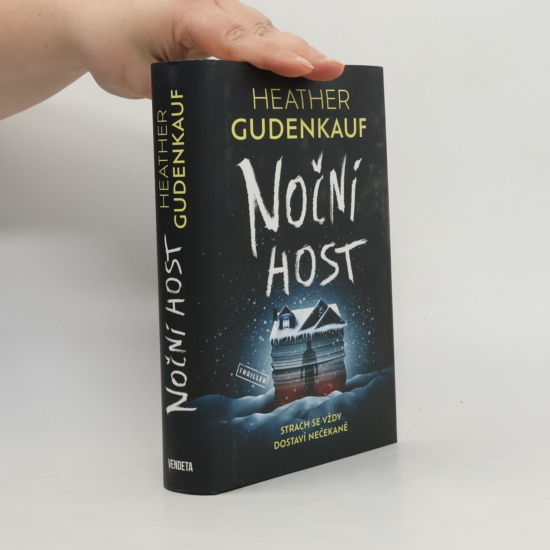 Heather Gudenkauf Noční host