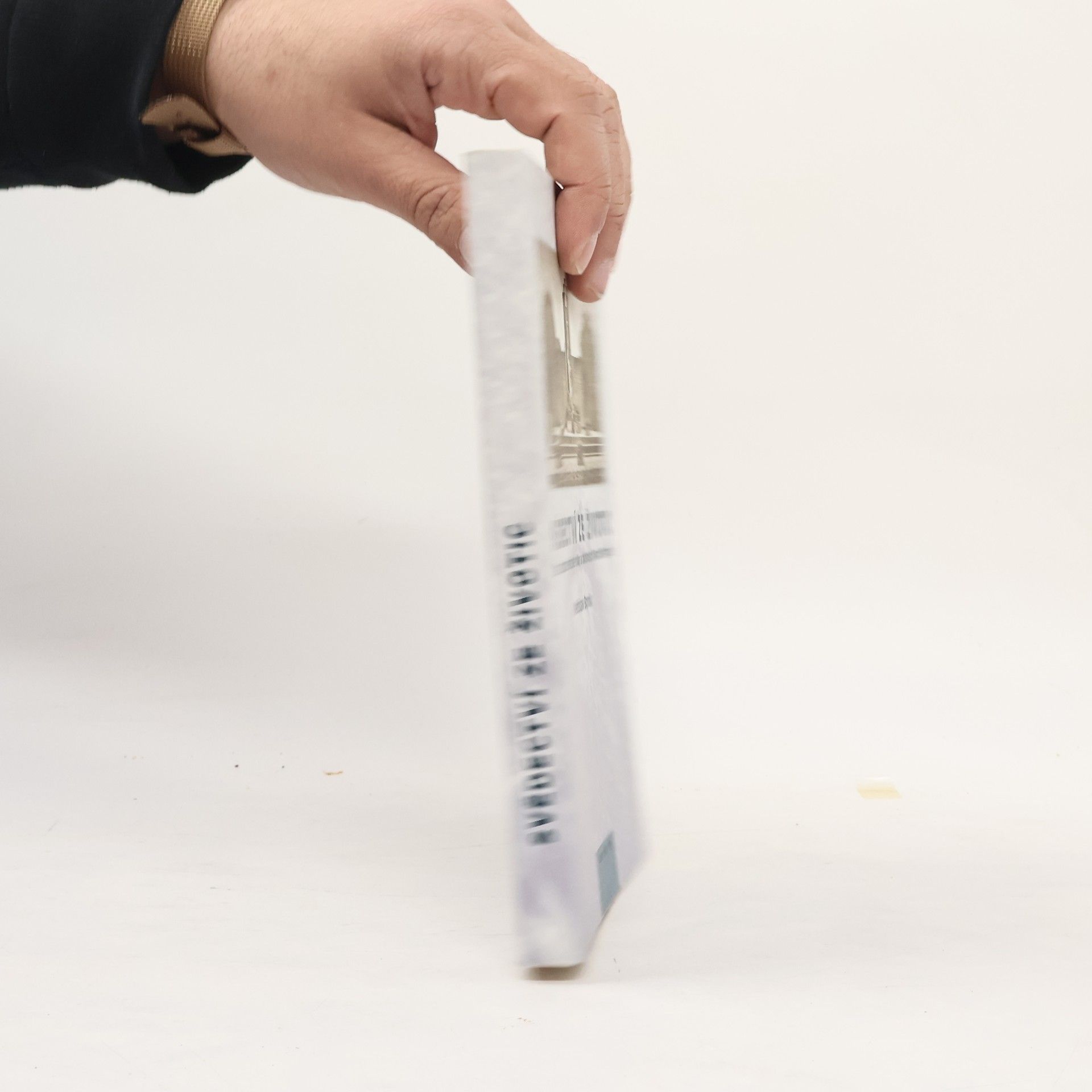 Mečislav Borák Svědectvi ze Životic