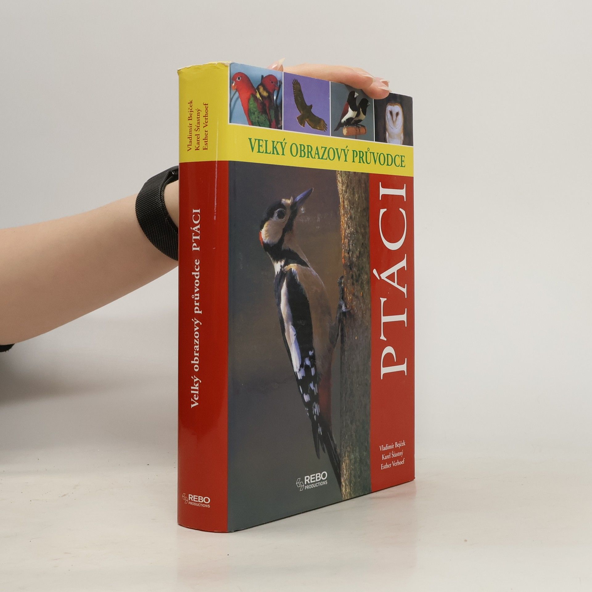 Berry Verhoef Ptáci - Velký obrazový průvodce