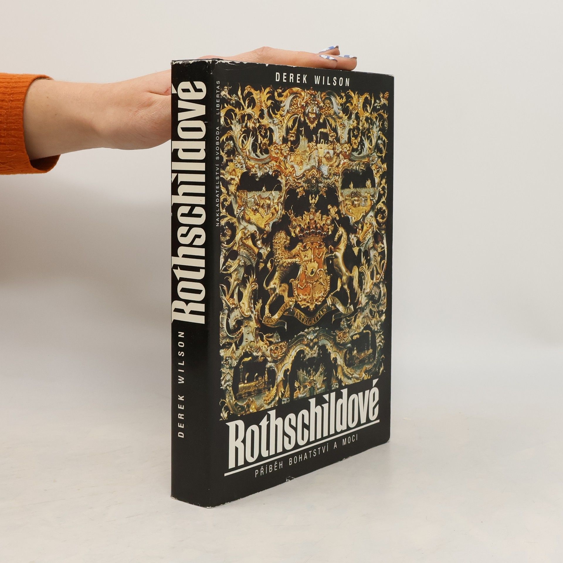 Derek Wilson Rothschildové. Příběh bohatství a moci