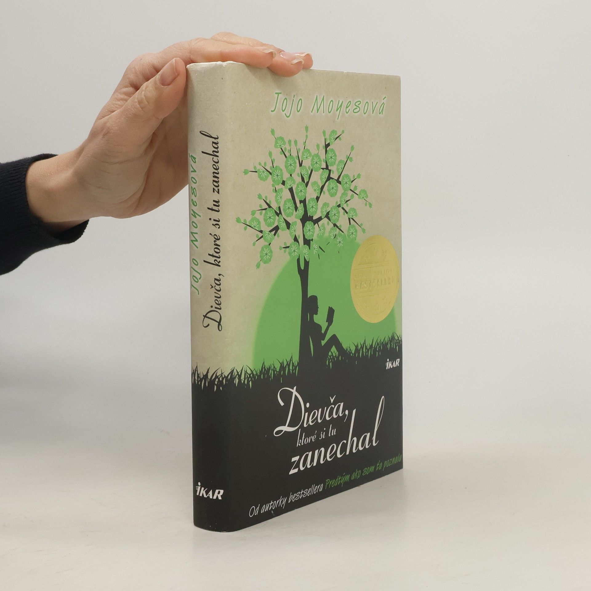 Jojo Moyes Dievča, ktoré si tu zanechal