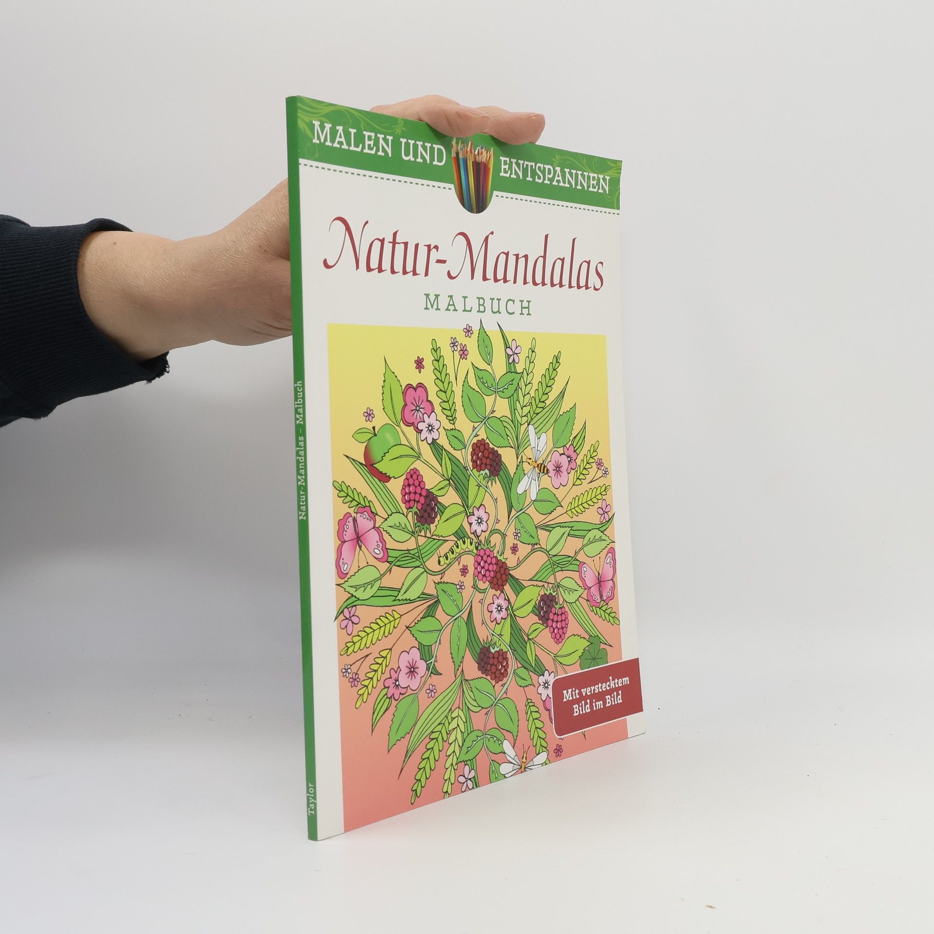 Jo Taylor Malen und Entspannen: Natur-Mandalas