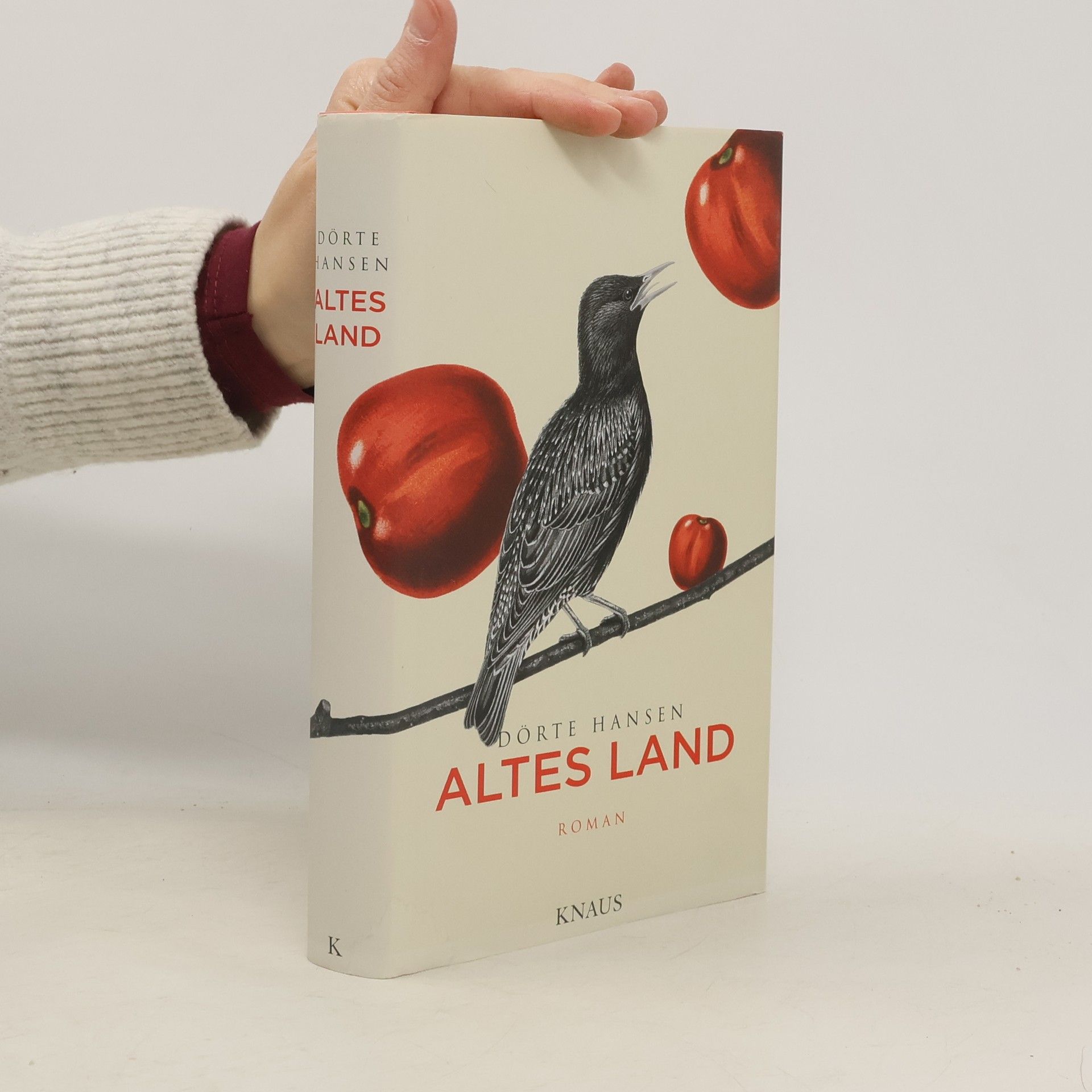 Dörte Hansen Altes Land