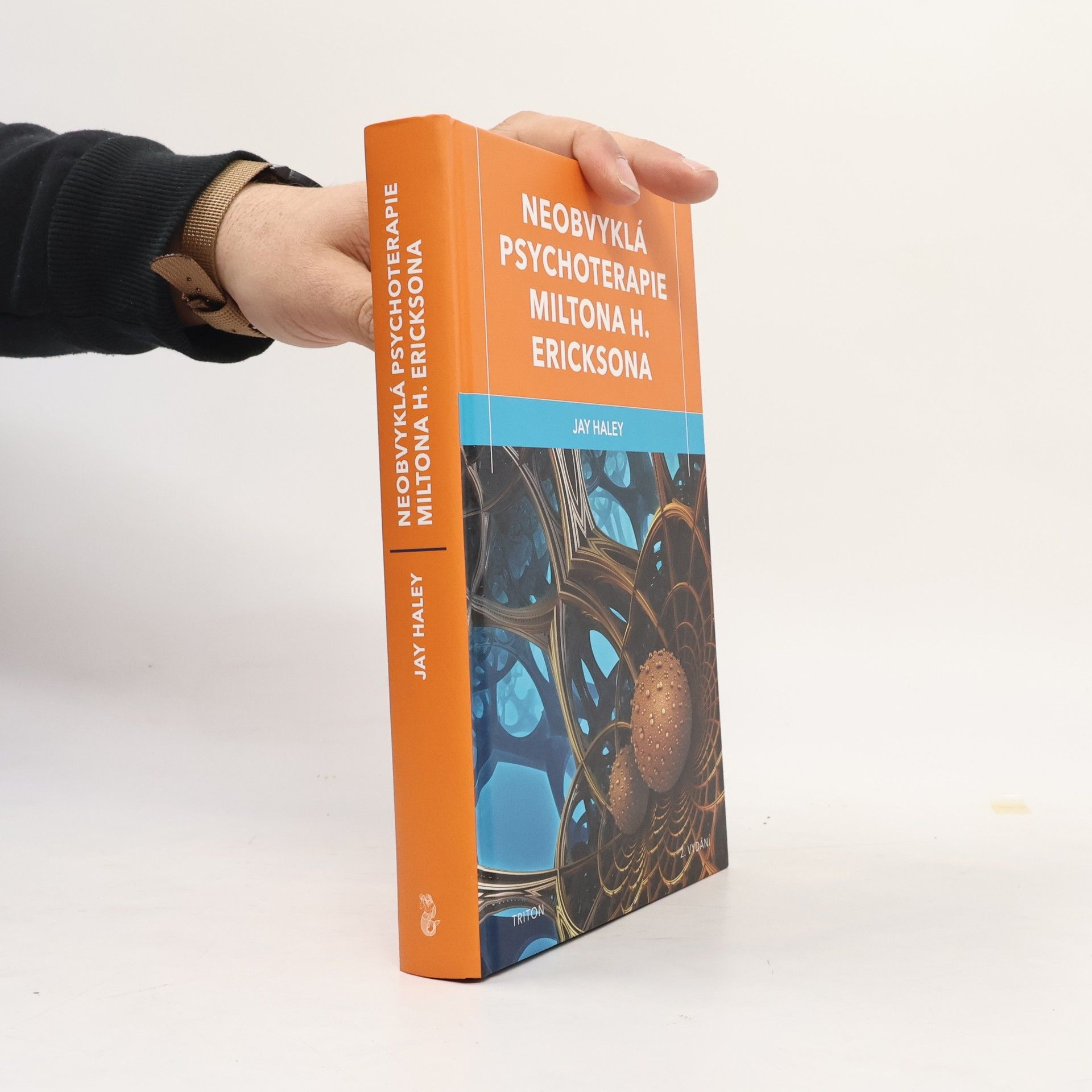Jay Haley Neobvyklá psychoterapie Miltona H. Ericksona
