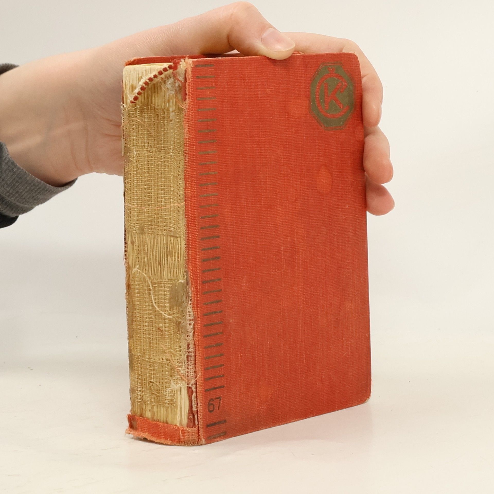 Mája Nováková Když kvetly vlčí máky