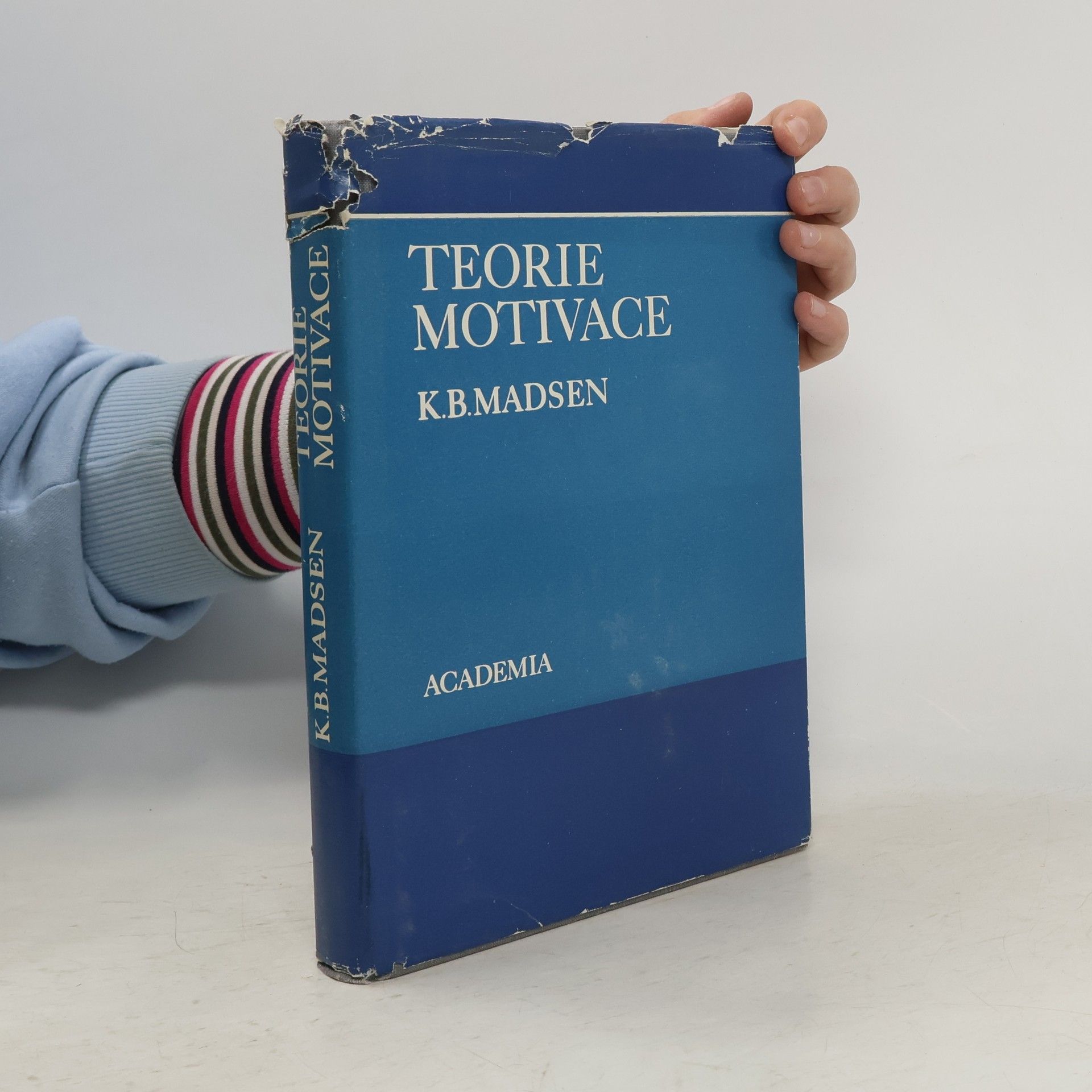 K. B. Madsen Teorie motivace