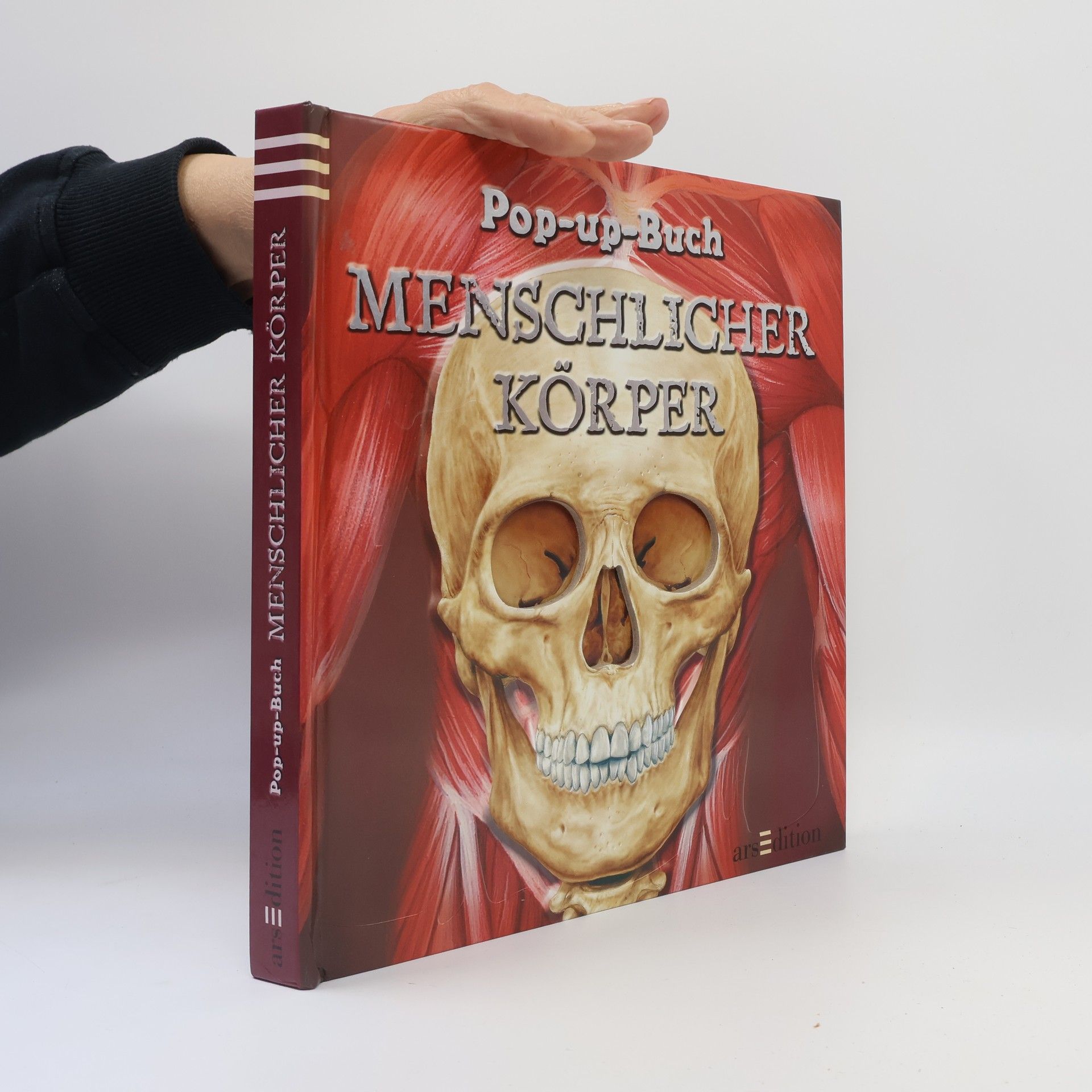 Emily Hawkins Menschlicher Körper - Pop-up-Buch
