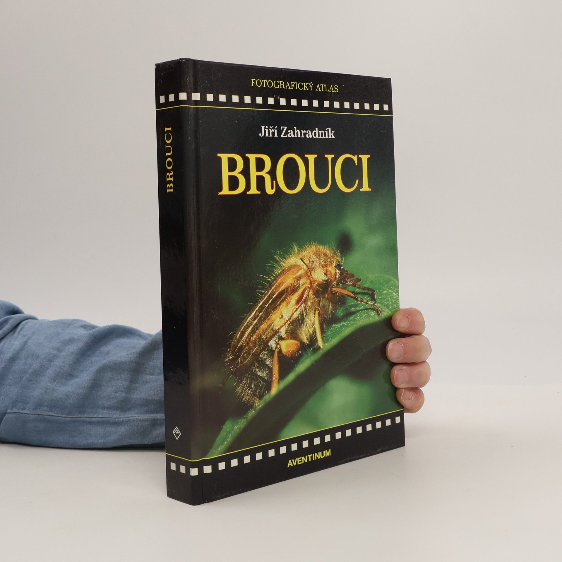 Brouci