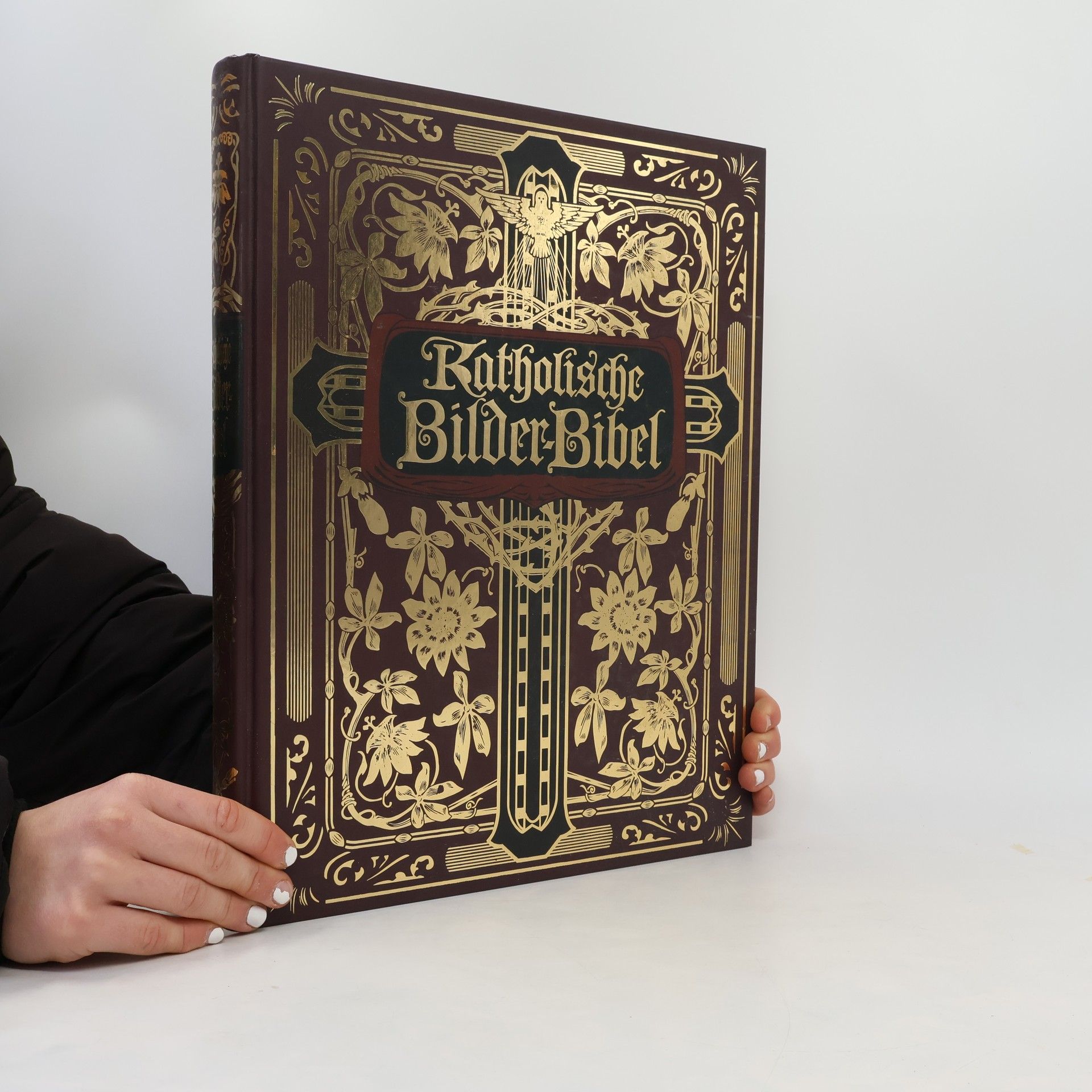 Kolektív autorov Katholische Bilder-Bibel