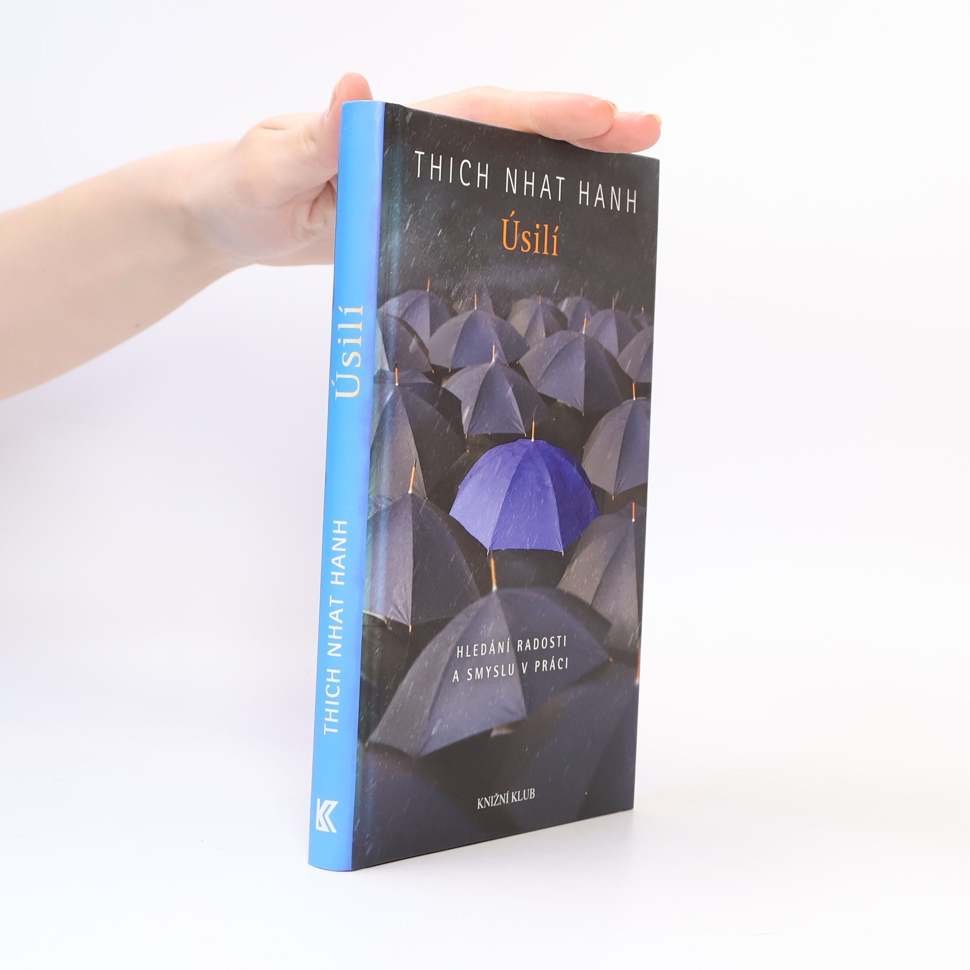 Thich Nhat Hanh Úsilí. Hledání radosti a smyslu v práci