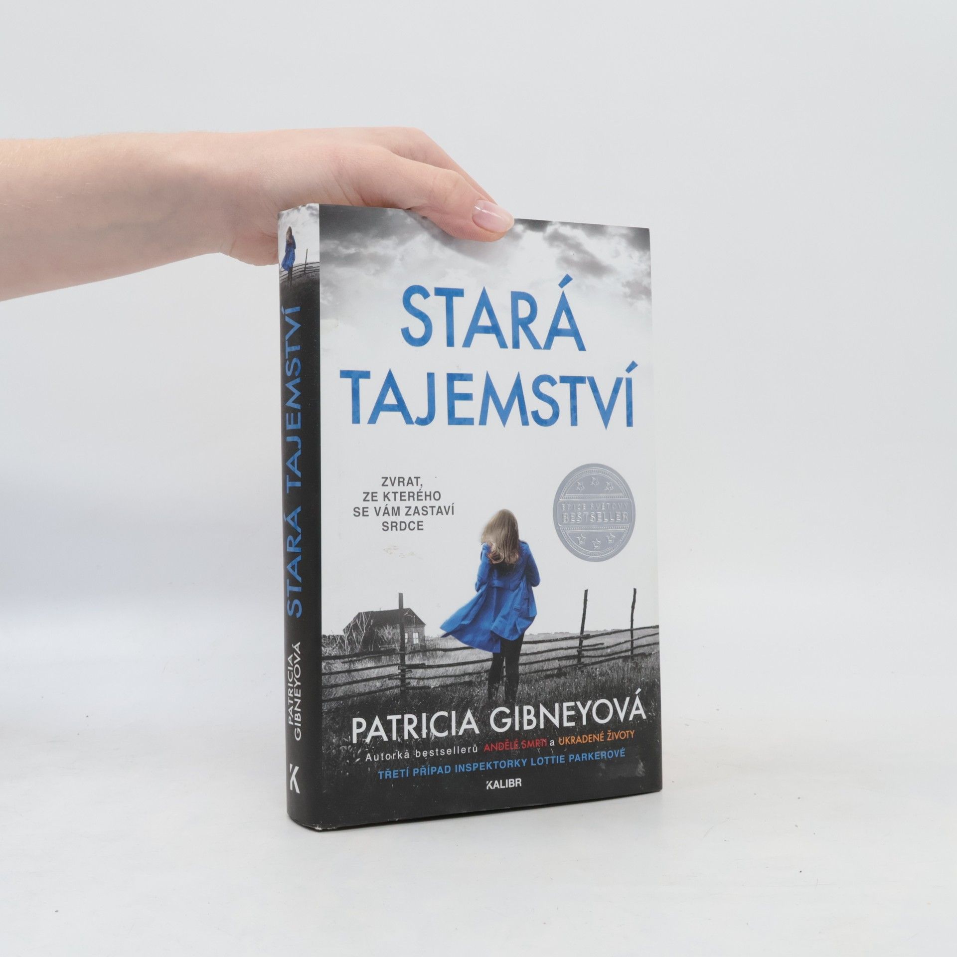 Patricia Gibney Stará tajemství