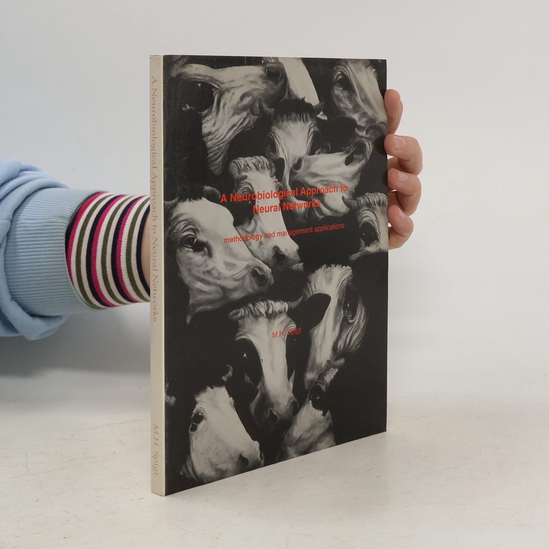 Matthijs Hendriks Spigt A Neurobiological Approach to Neural Networks