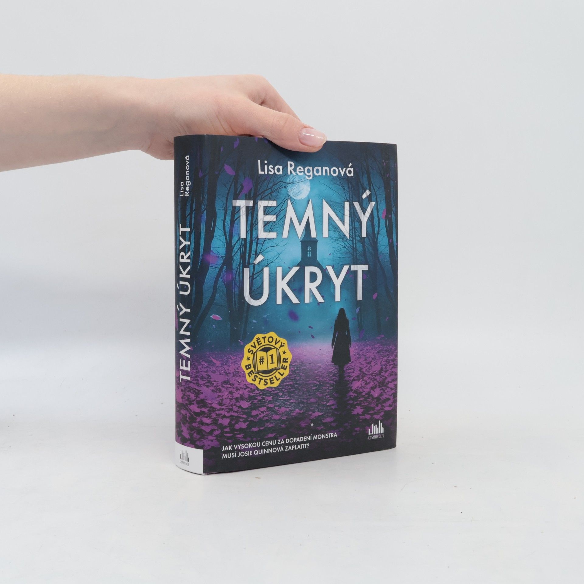 Lisa Regan Temný úkryt