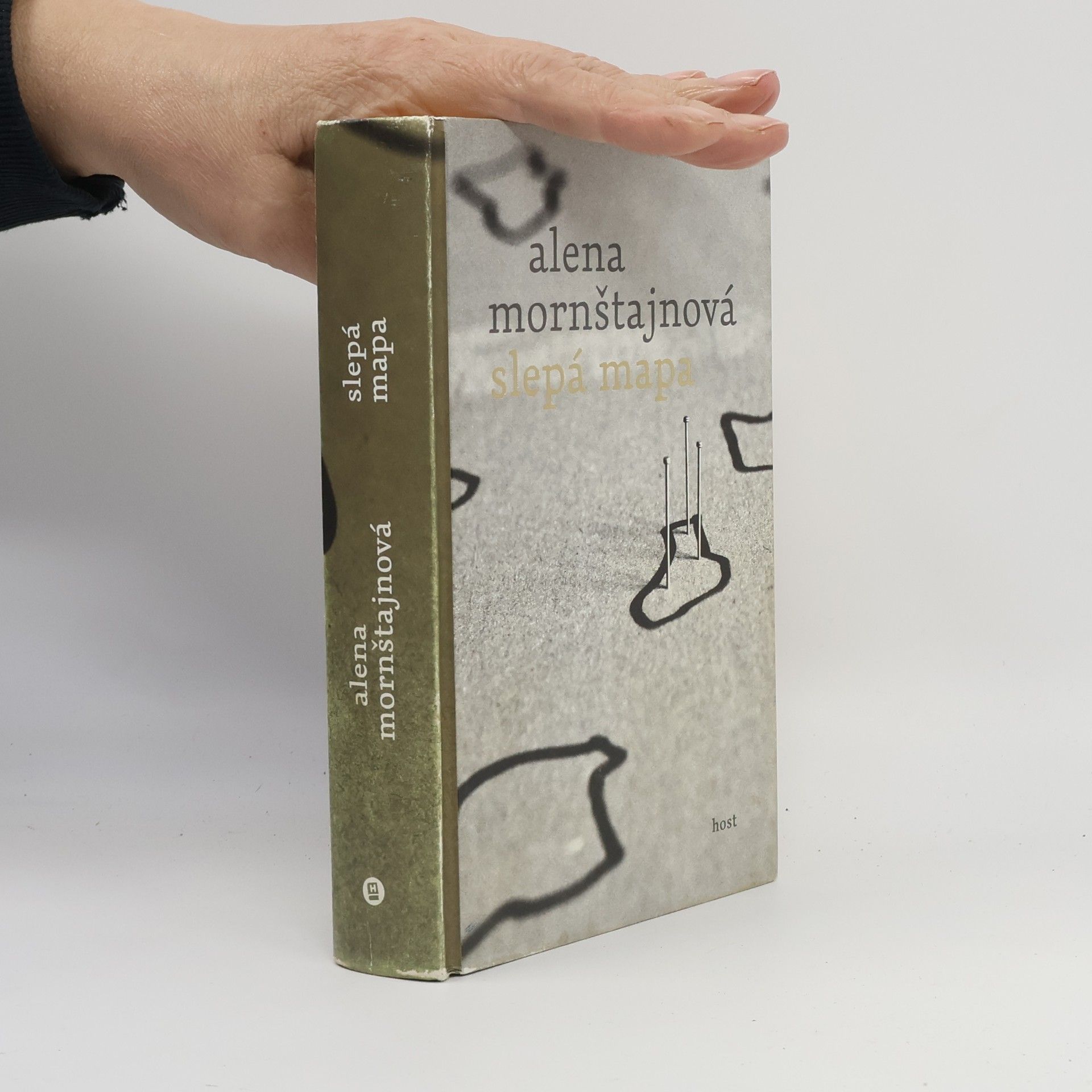 Alena Mornštajnová Slepá mapa