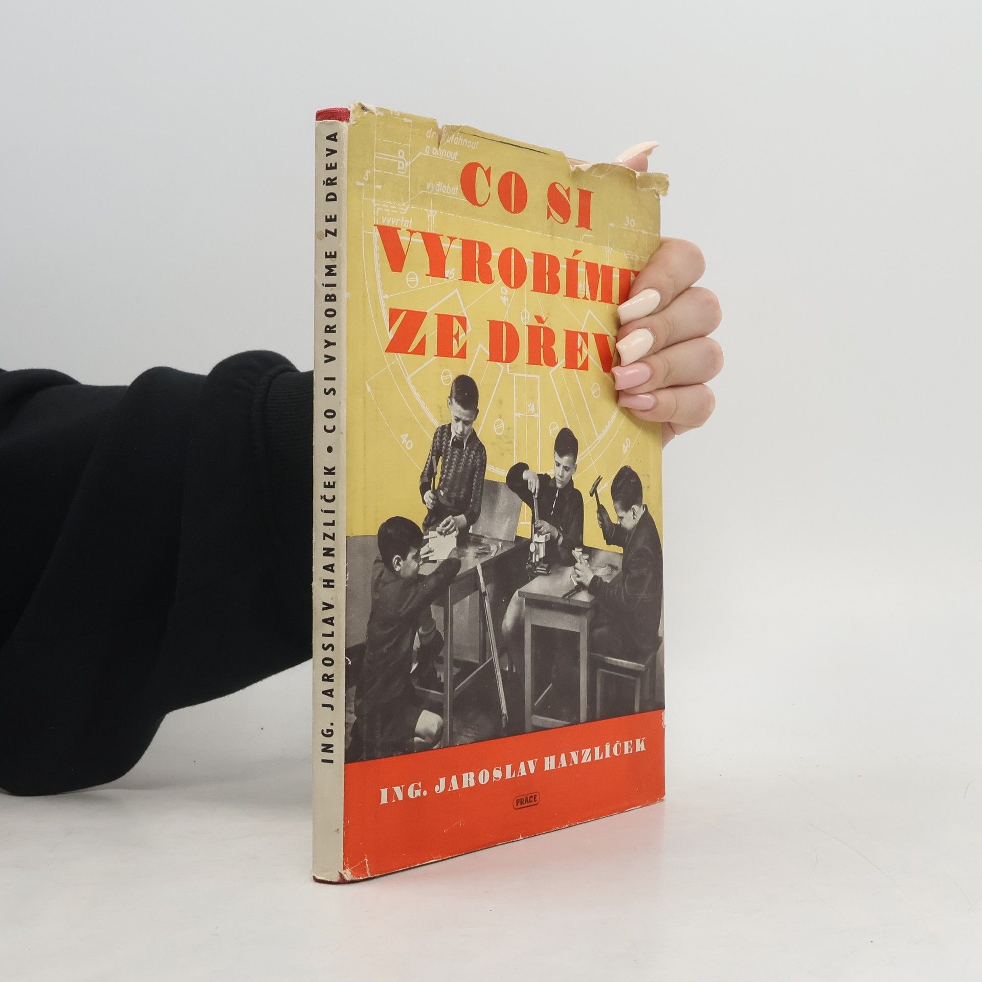 Jaroslav Hanzlíček Co si vyrobíme ze dřeva