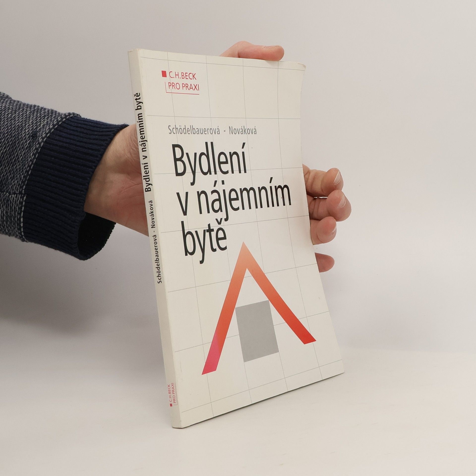 Pavla Schödelbauerová Bydlení v nájemním bytě