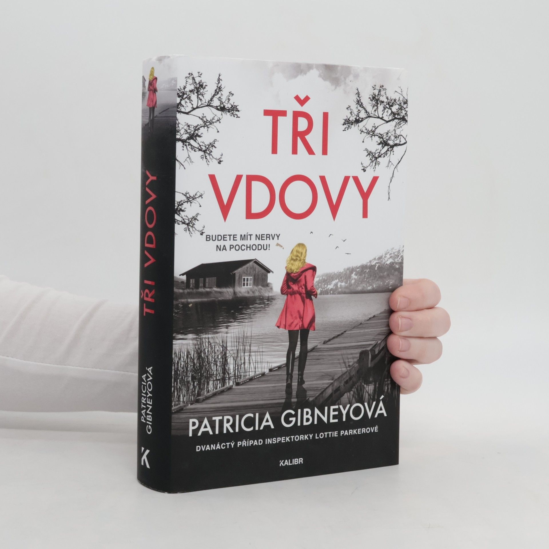 Patricia Gibney Tři vdovy