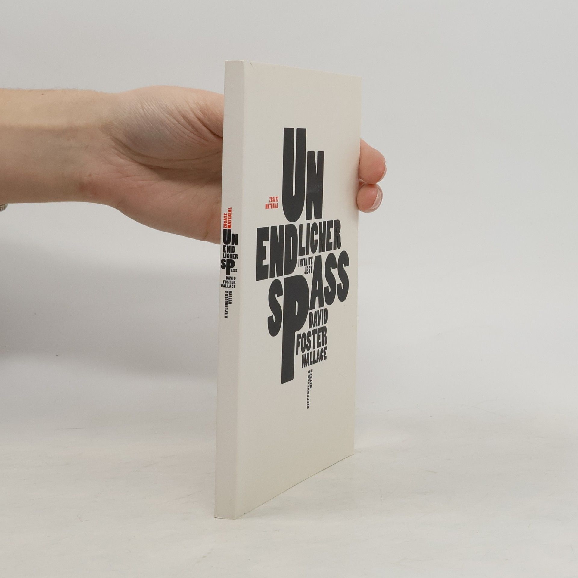 Tom Ising David Foster Wallace, unendlicher Spaß