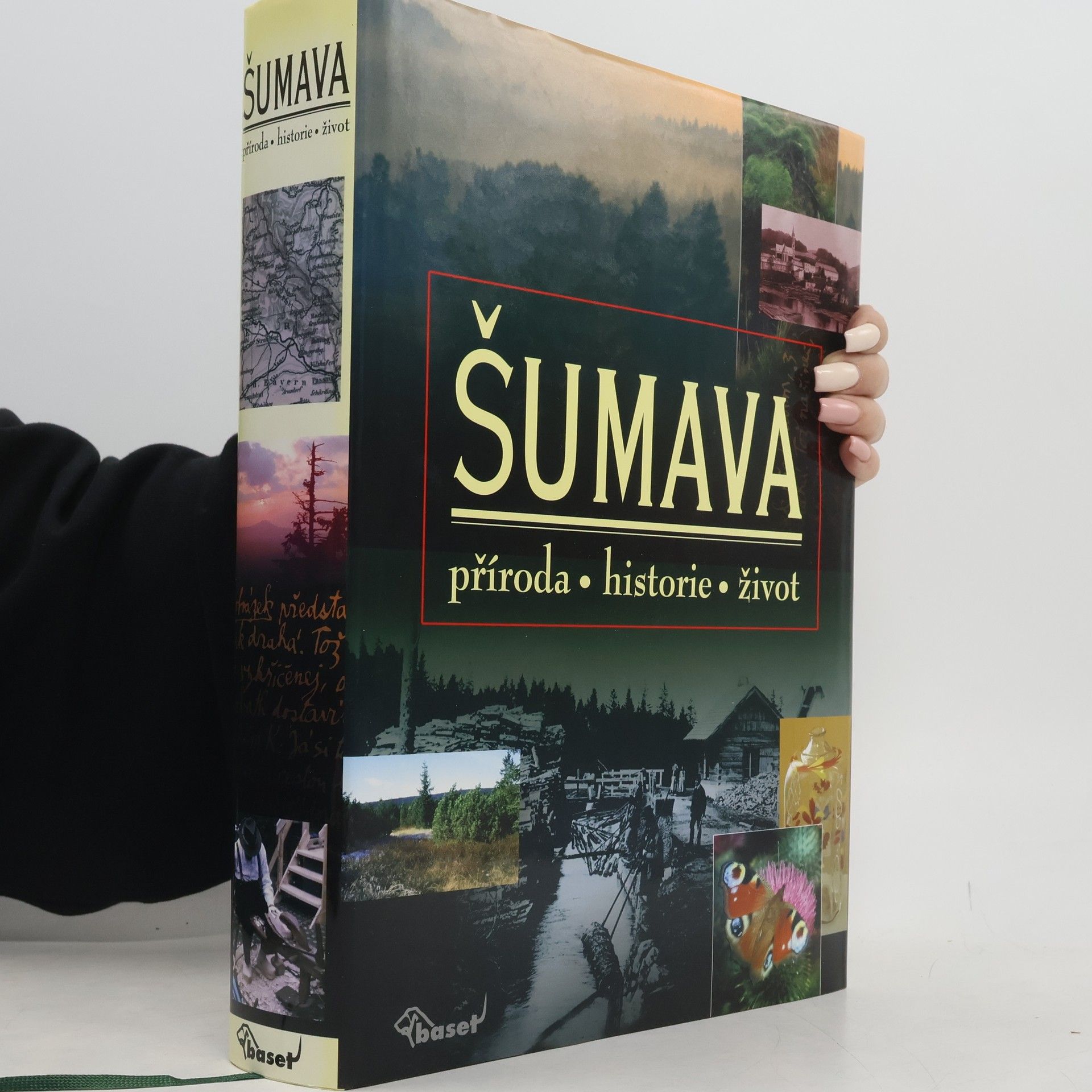 Kolektiv autorů Šumava. Příroda, historie, život