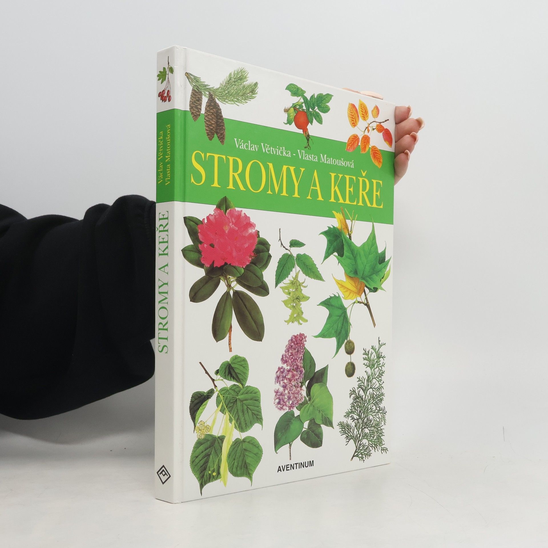 Václav Větvička Stromy a keře