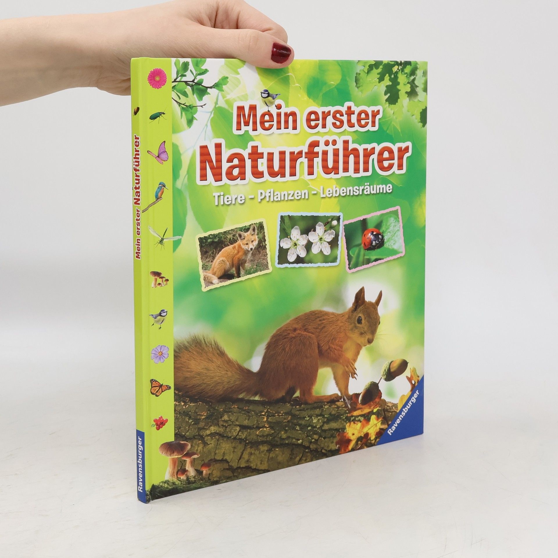 Angelika Lenz Mein erster Naturführer