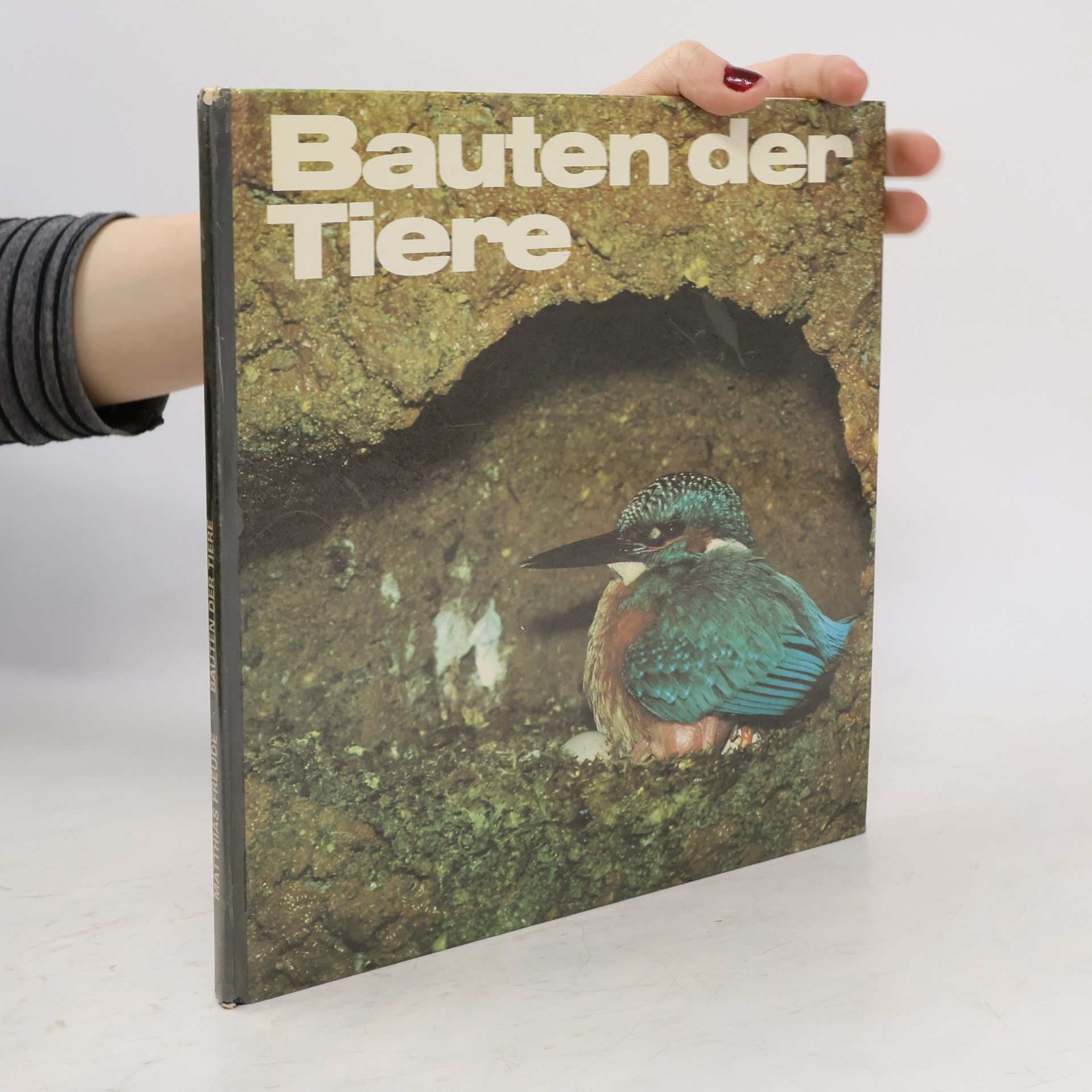 Matthias Freude Bauten der Tiere