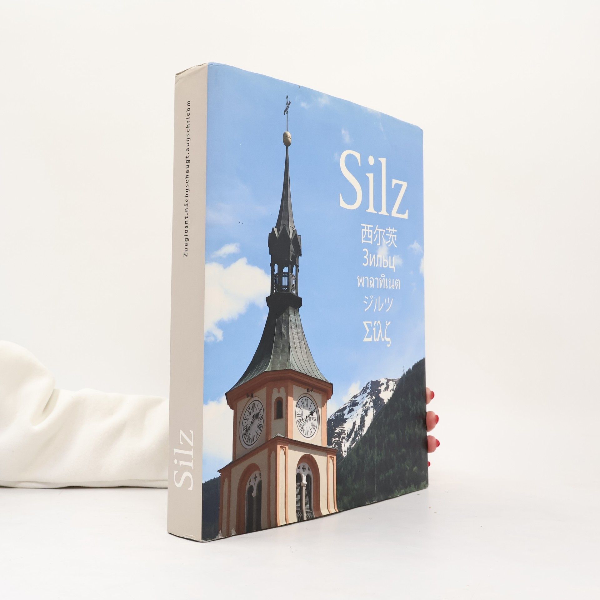 Kolektiv autorů Silz