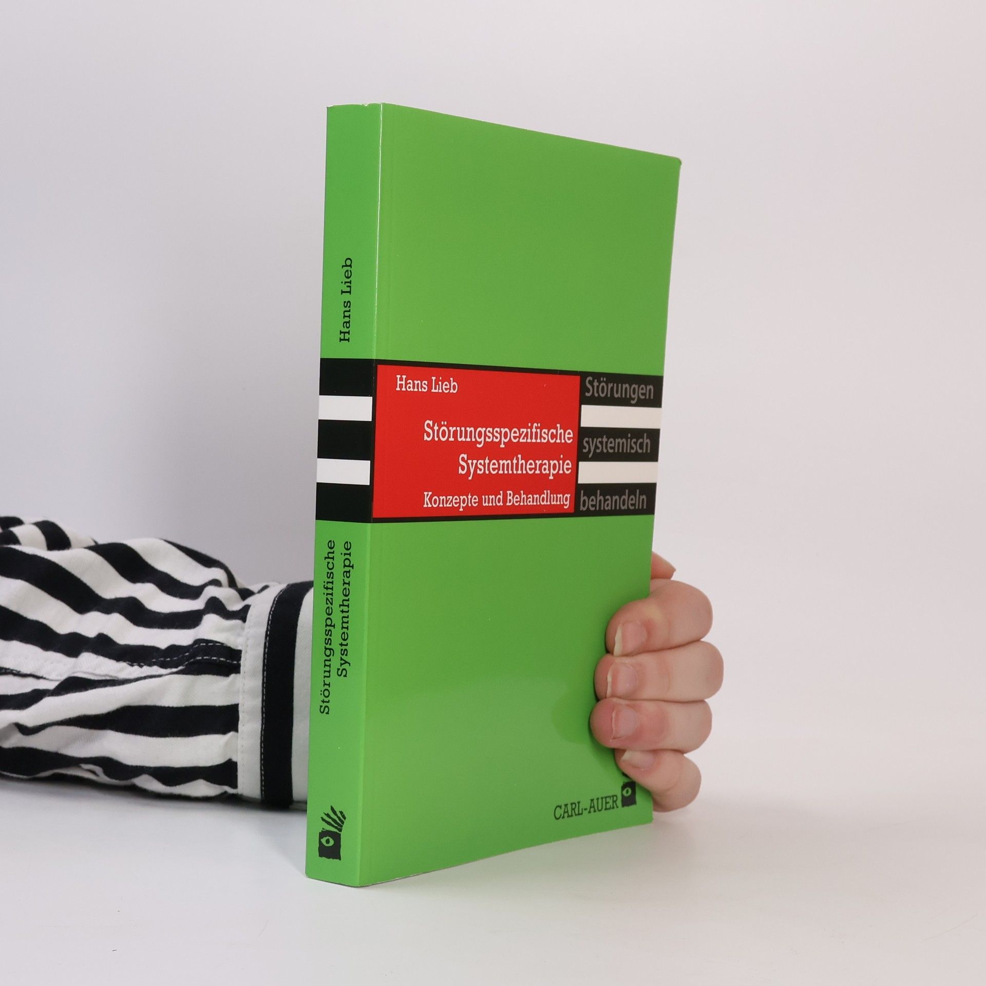 Hans Lieb Störungen systemisch behandeln: Störungsspezifische Systemtherapie
