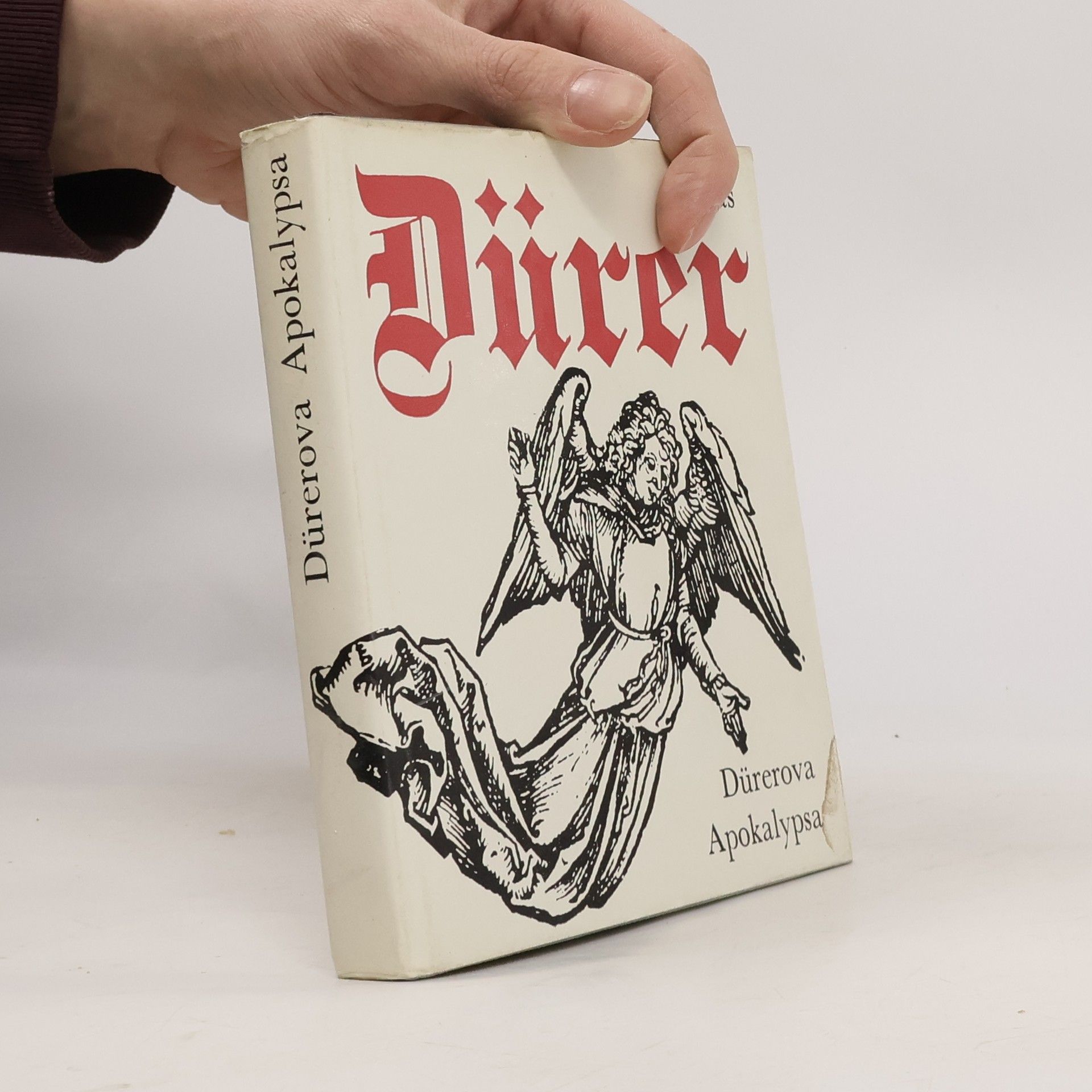 Radislav Matuštík Dürerova Apokalypsa