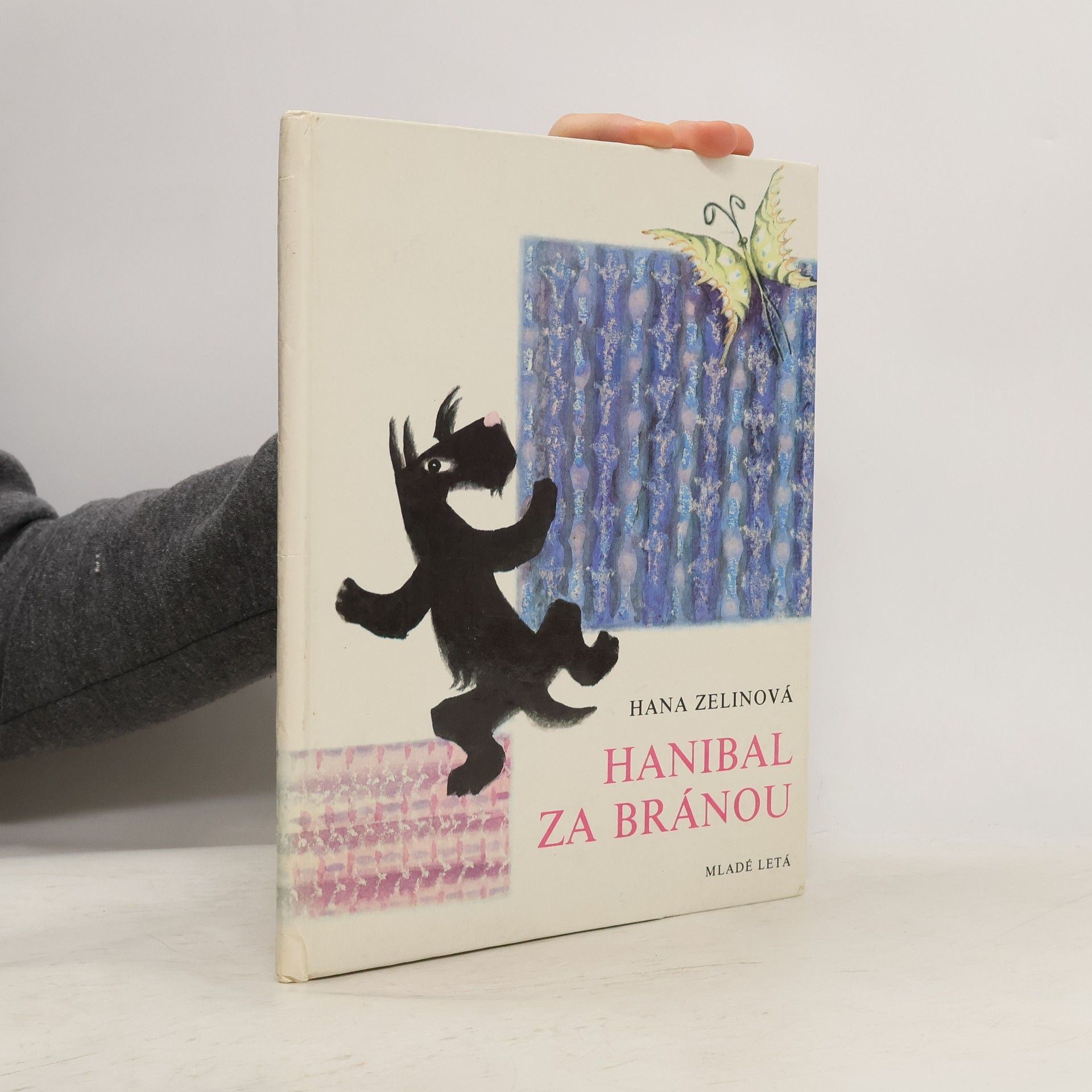 Hana Zelinová Hanibal za bránou