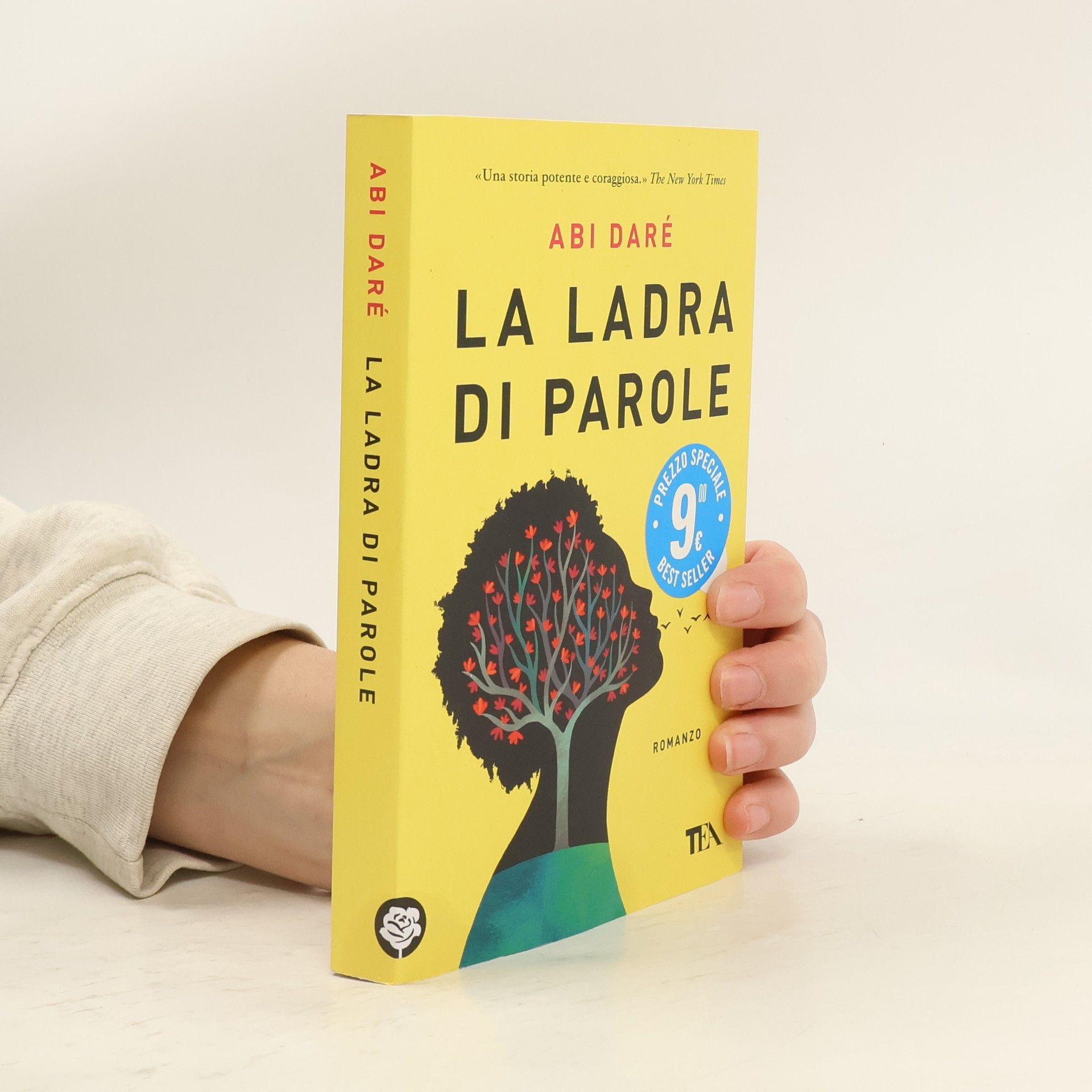 Abi Daré La ladra di parole