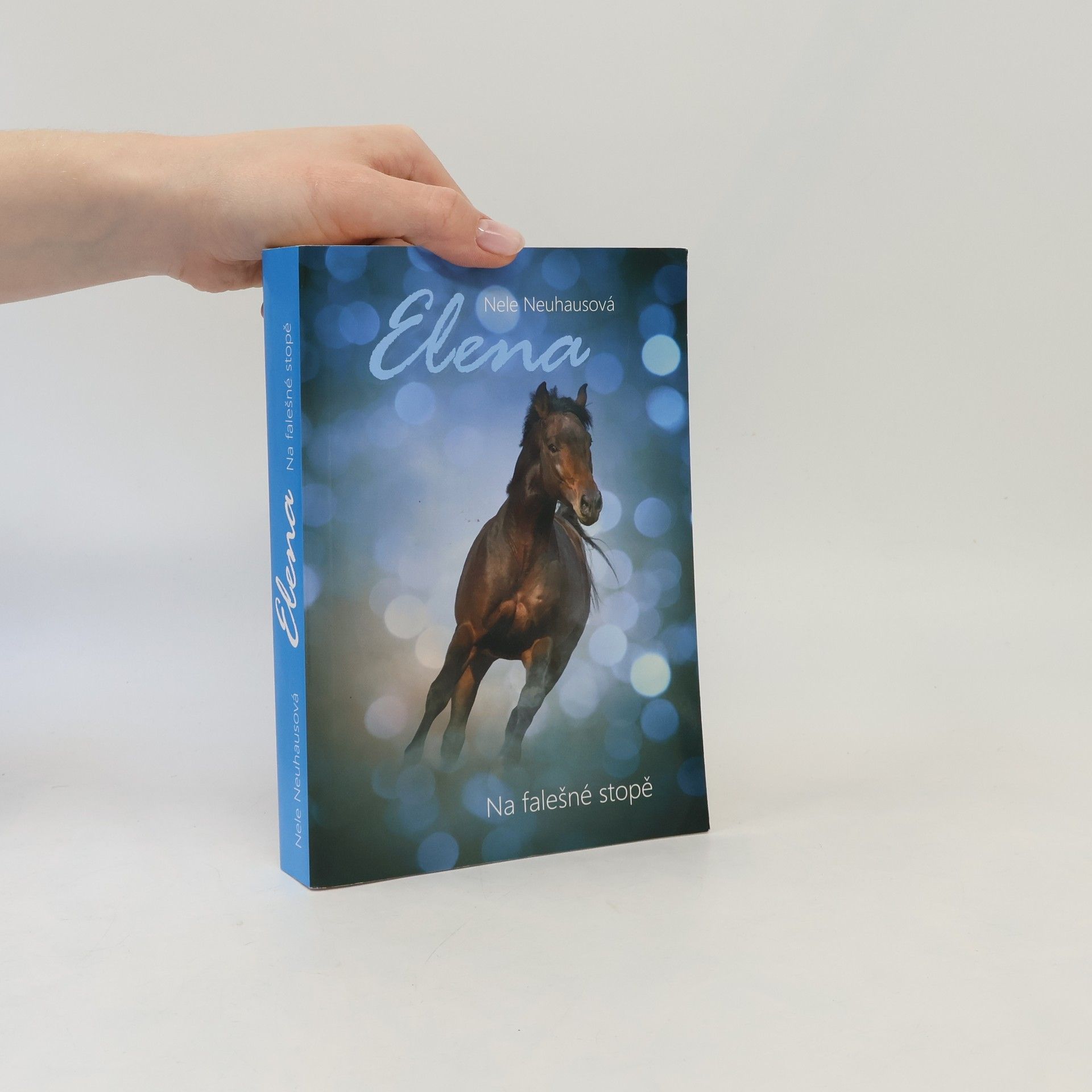 Nele Neuhaus Na falešné stopě