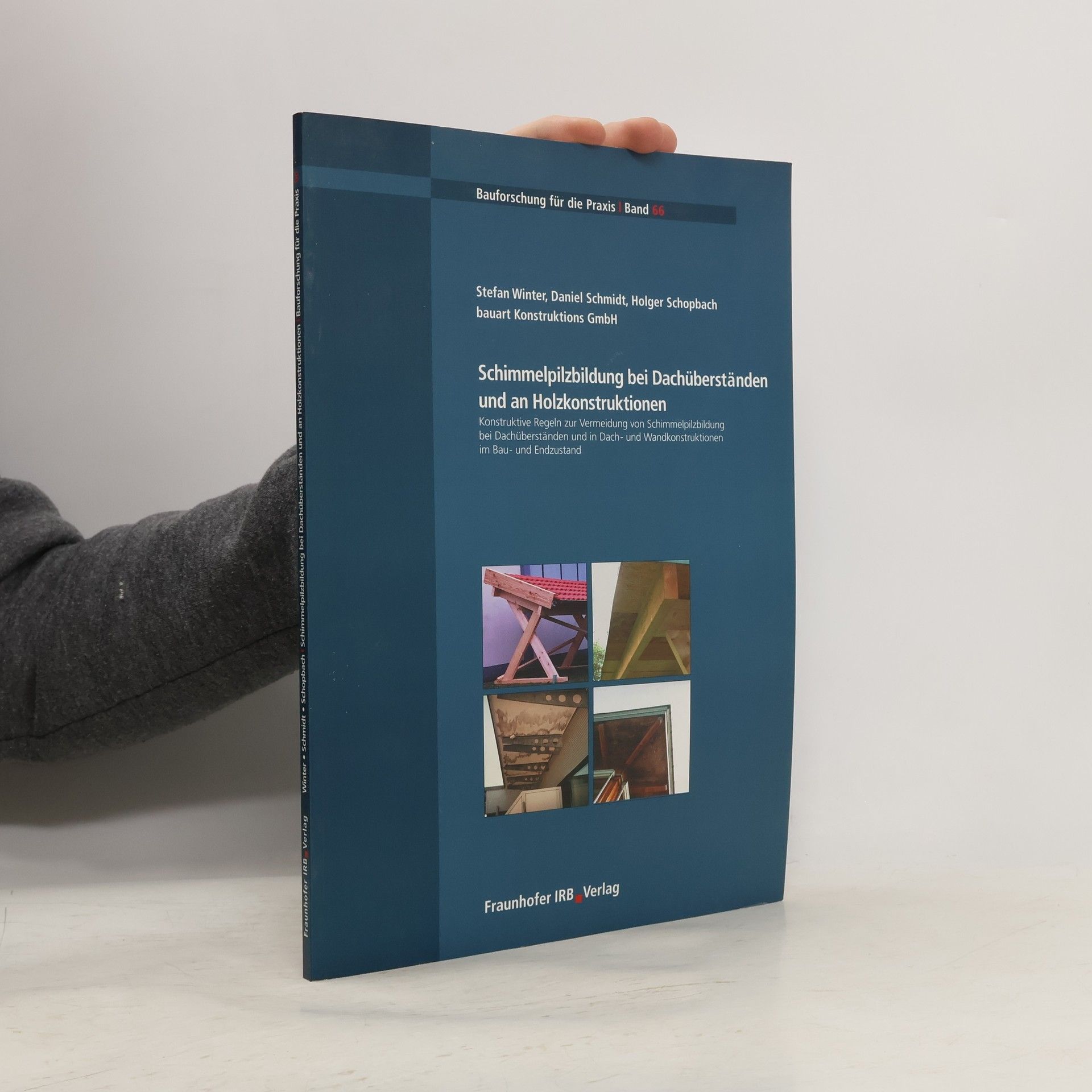 Stefan Winter Bauforschung für die Praxis - 66: Schimmelpilzbildung bei Dachüberständen und an Holzkonstruktionen