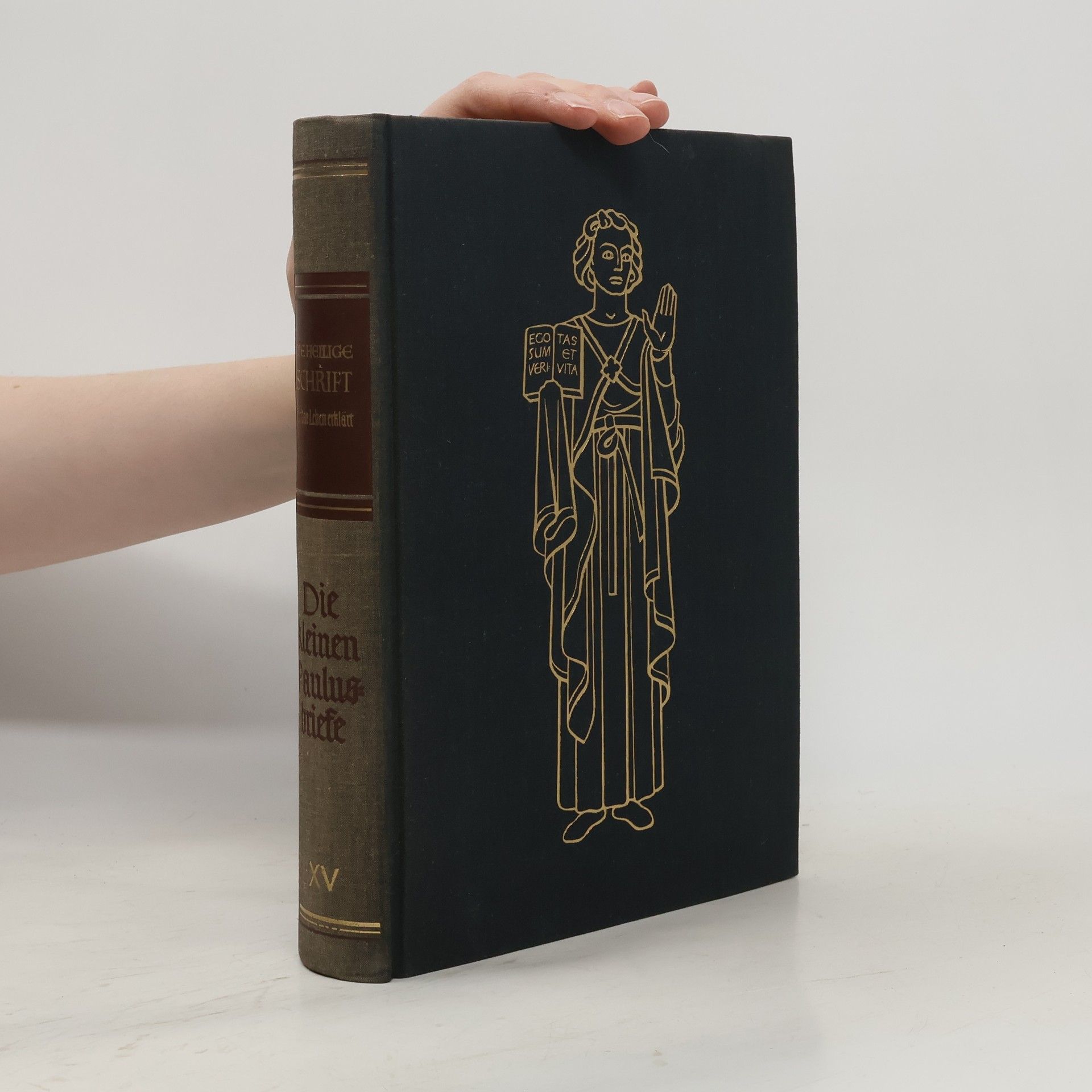 kolektiv Die Heilige Schrift. Band XV