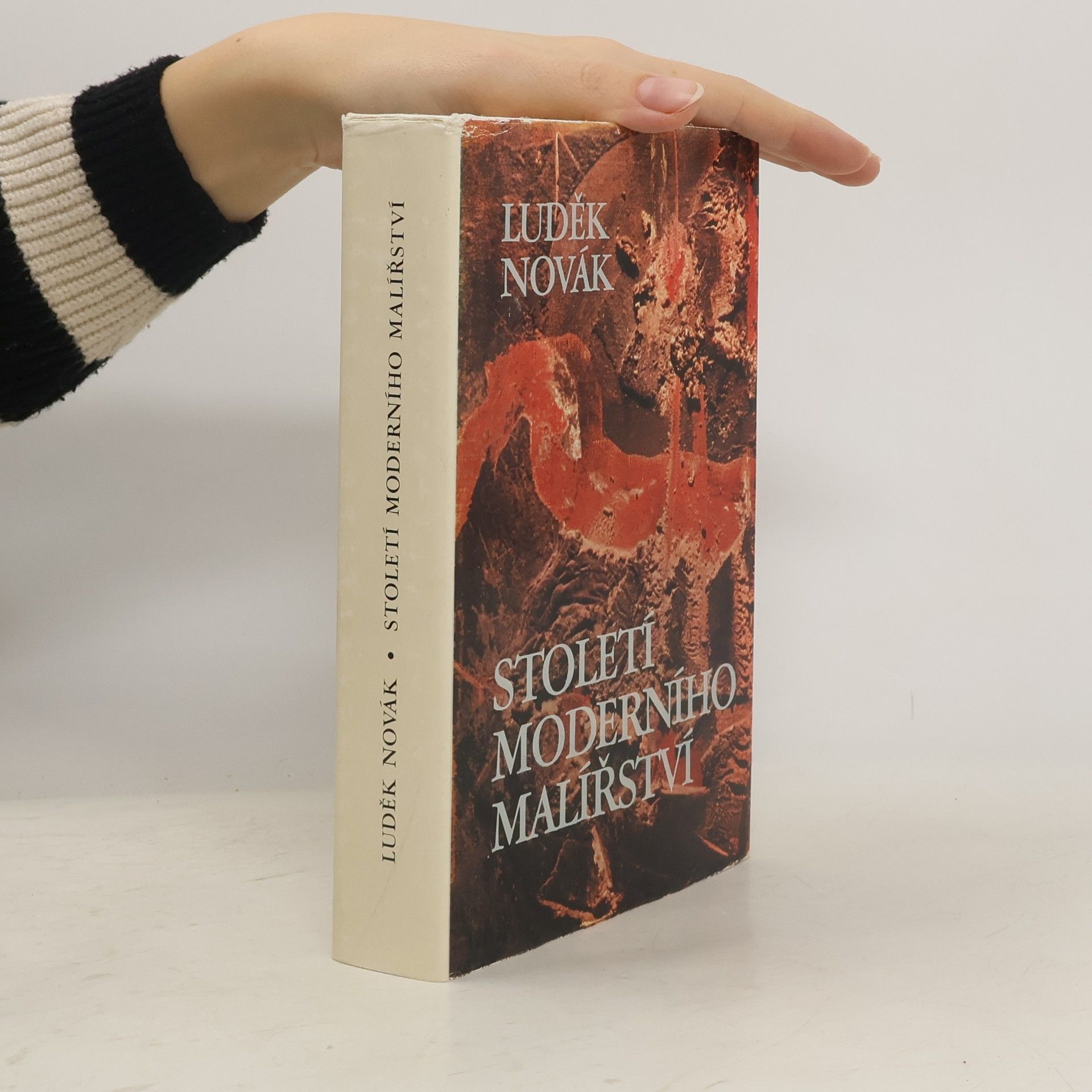 Století moderního malířství 1865-1965