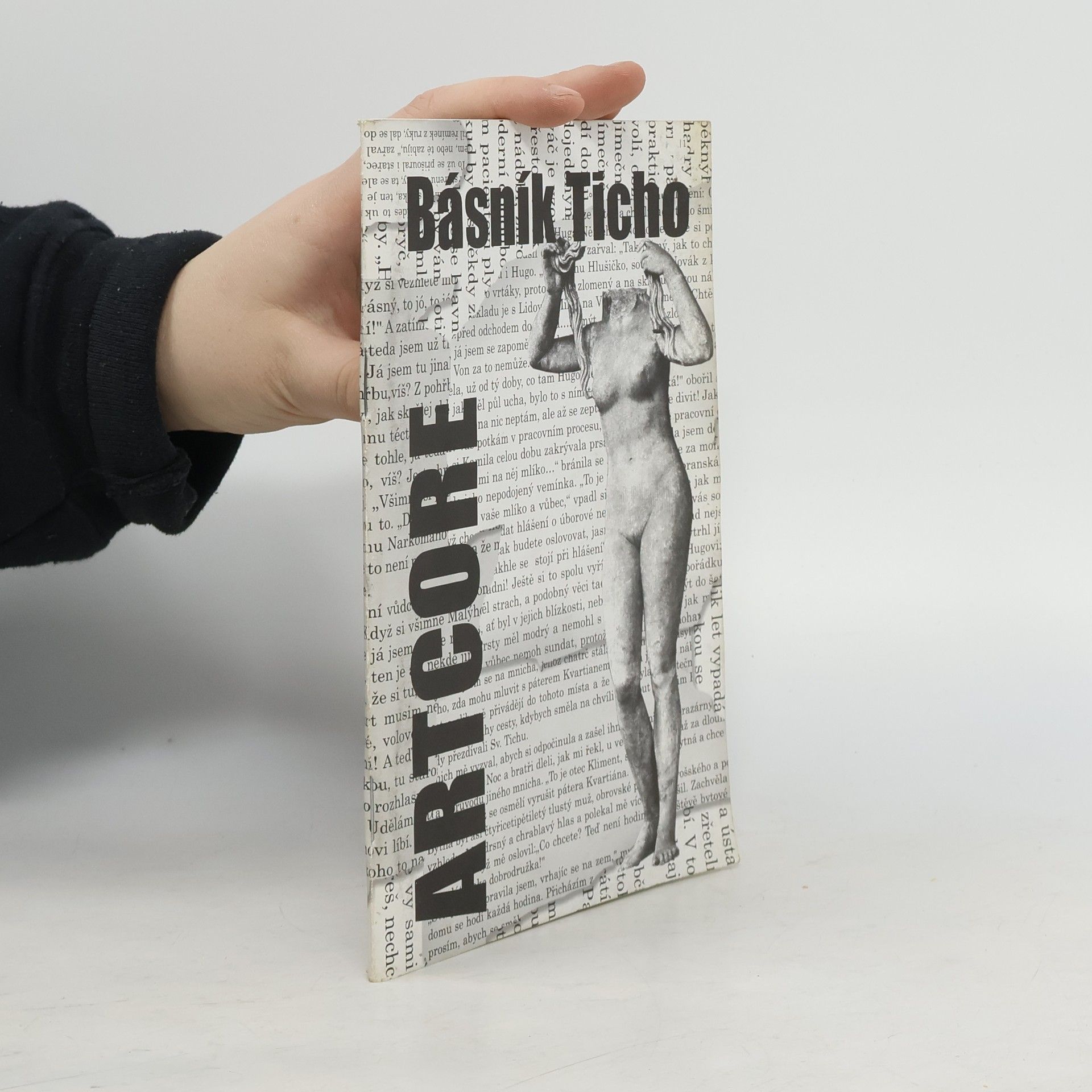 Básník Ticho Artcore