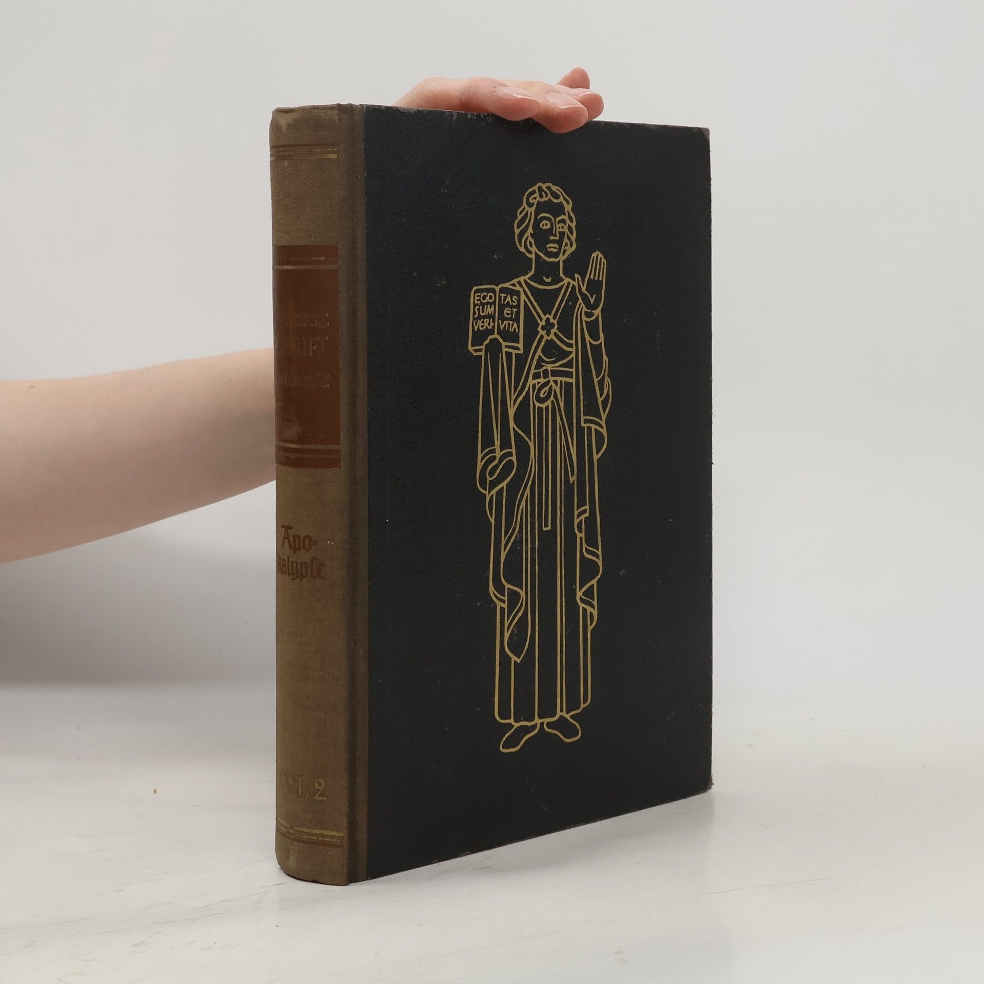 Autorenkollektiv Die heilige Schrift XVI/2