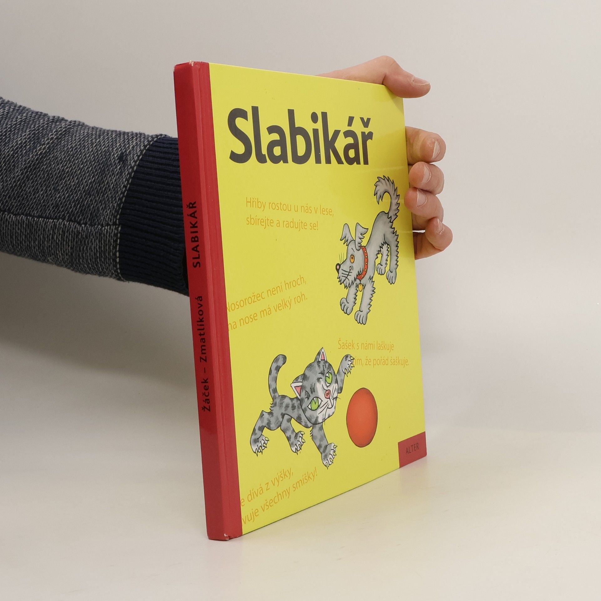 Helena Zmatlíková Slabikář : učebnice pro vzdělávací obor Český jazyk a literatura