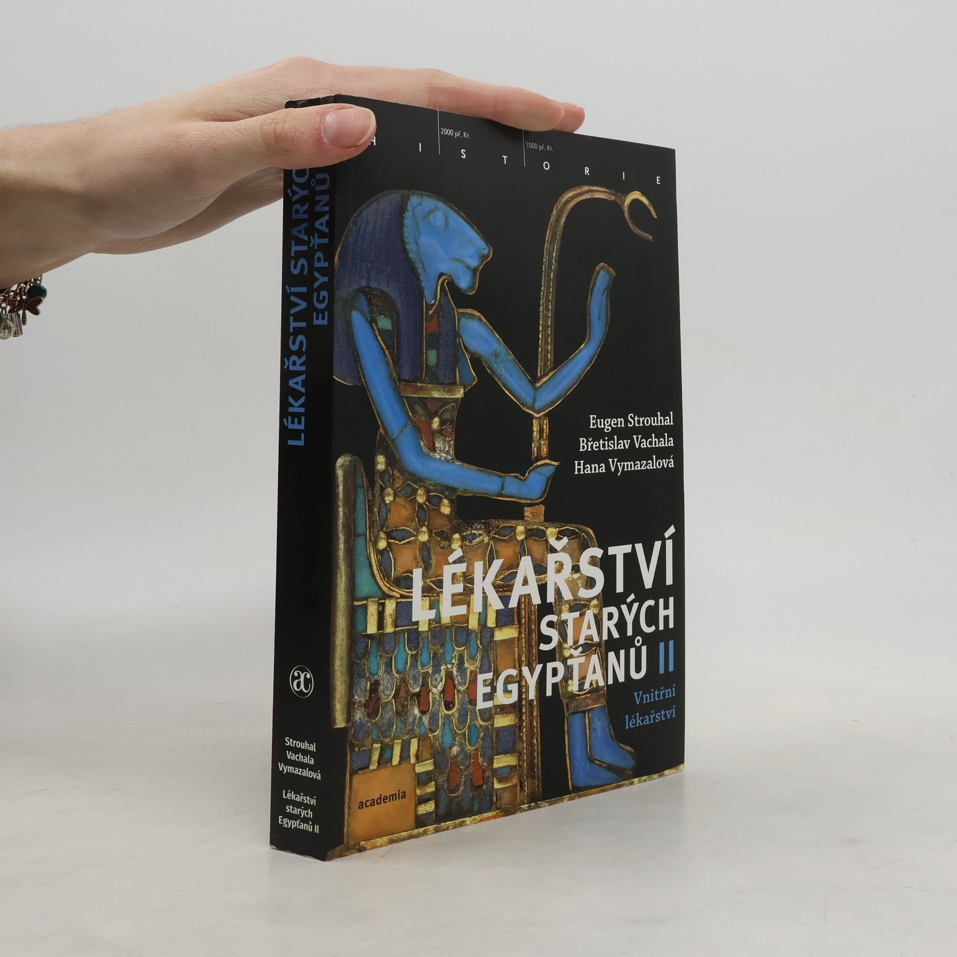 Lékařství starých Egypťanů II.: Vnitřní lékařství