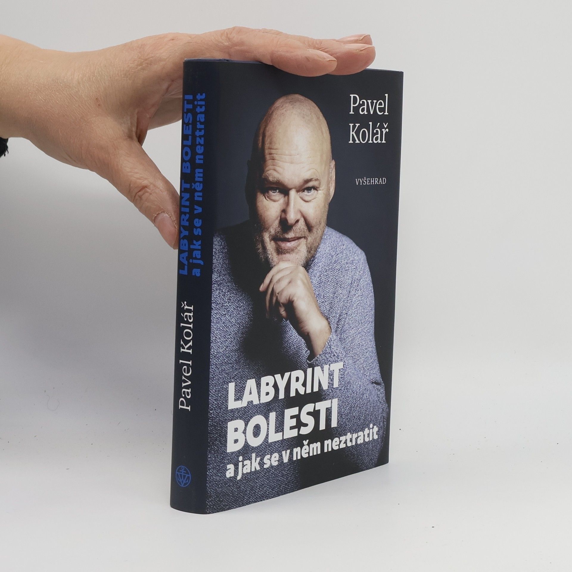 Pavel Kolář Labyrint bolesti a jak se v něm neztratit