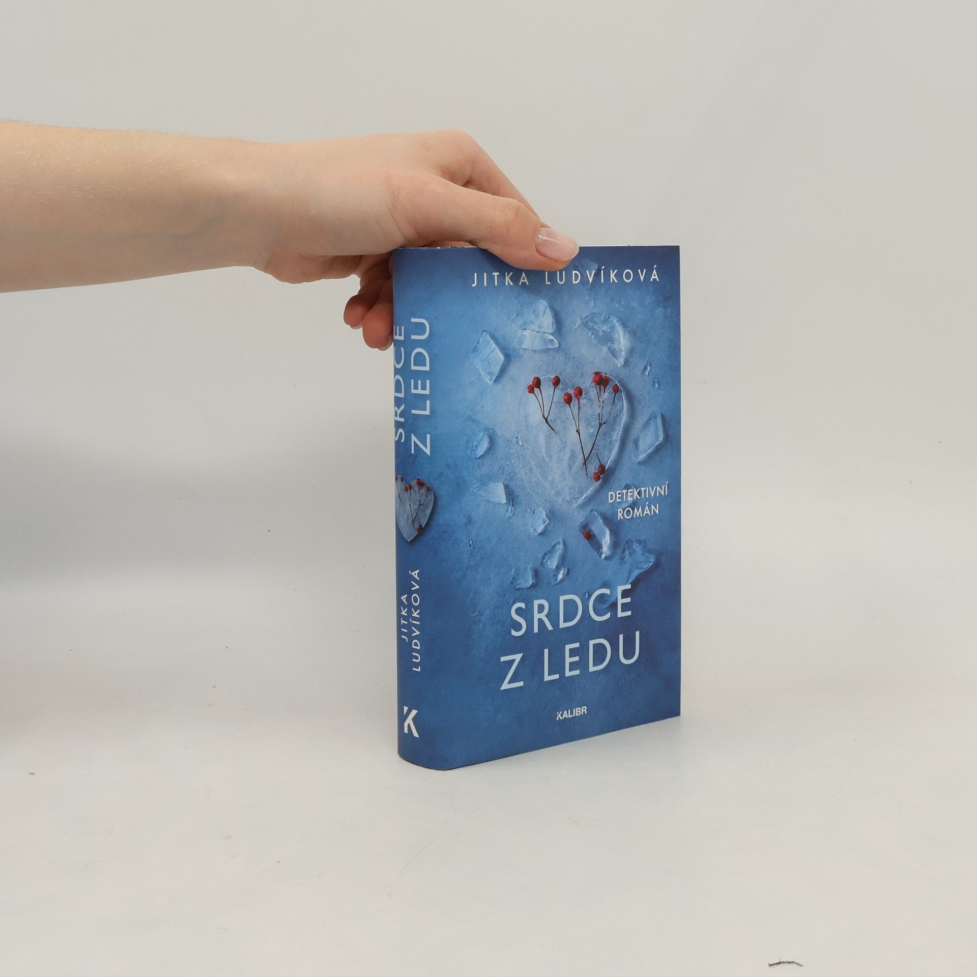 Jitka Ludvíková Srdce z ledu