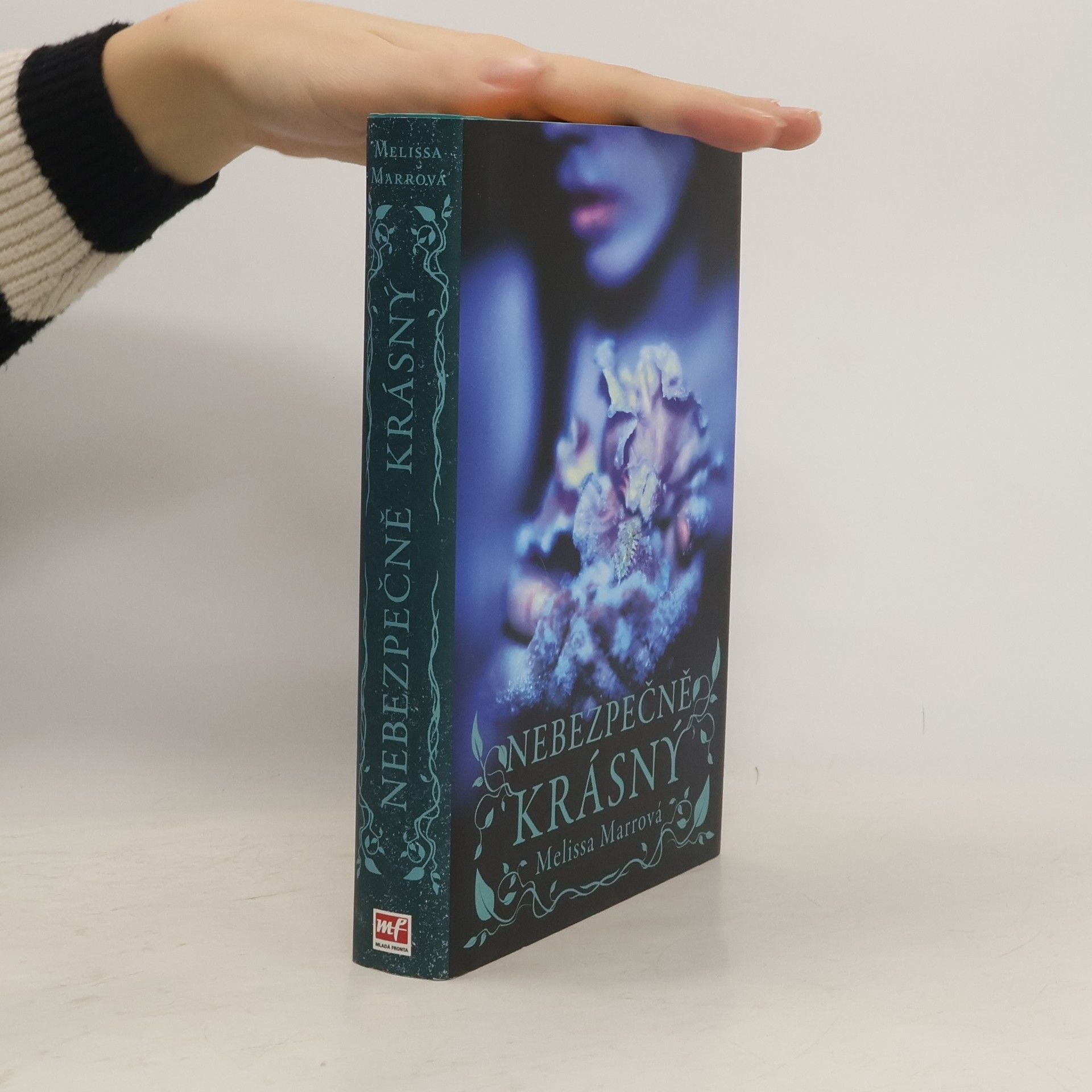 Melissa Marr Nebezpečně krásný