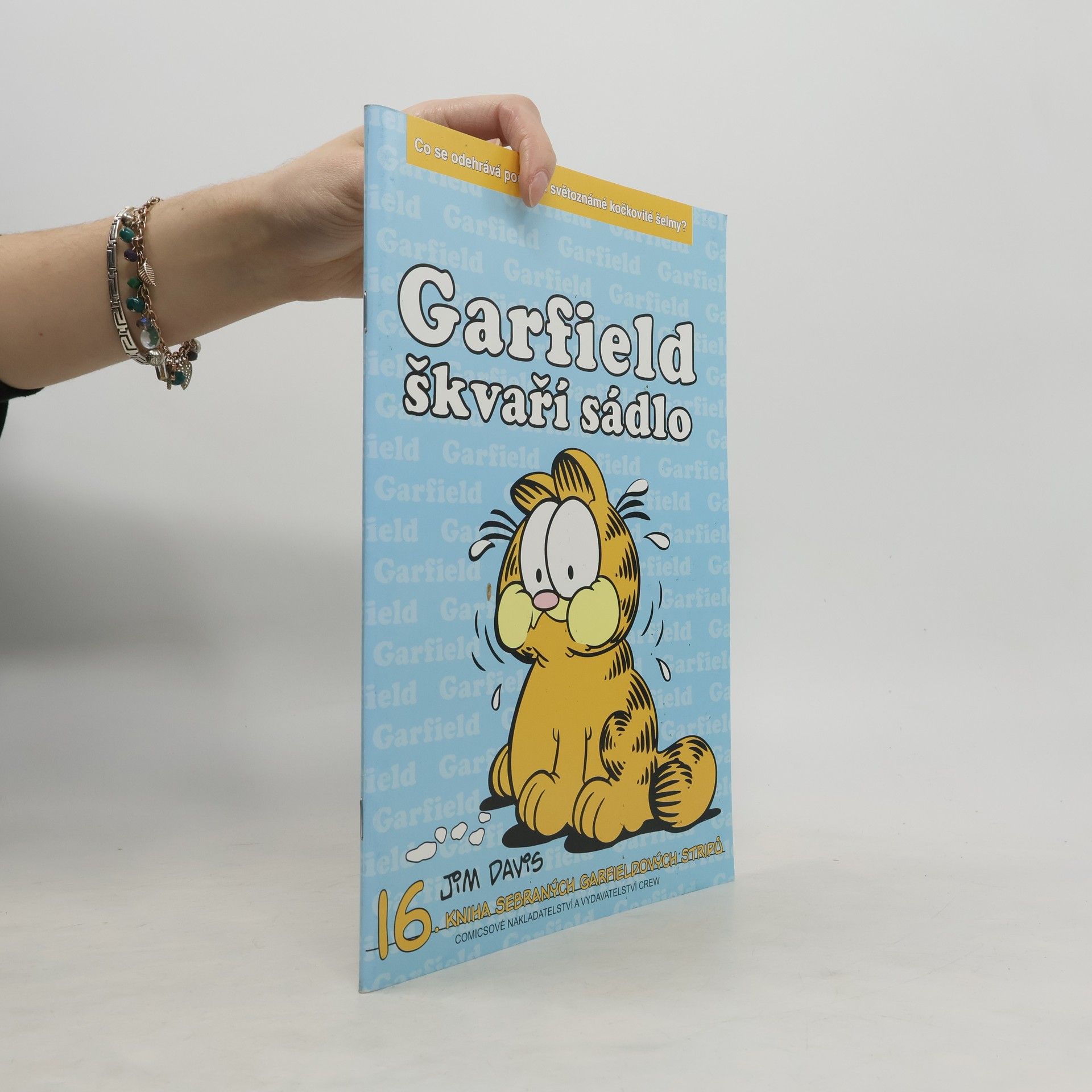 Jim Davis Garfield škvaří sádlo