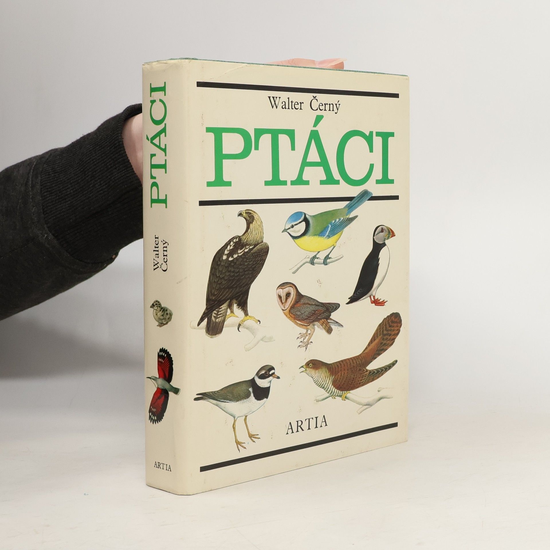 Walter Černý Ptáci