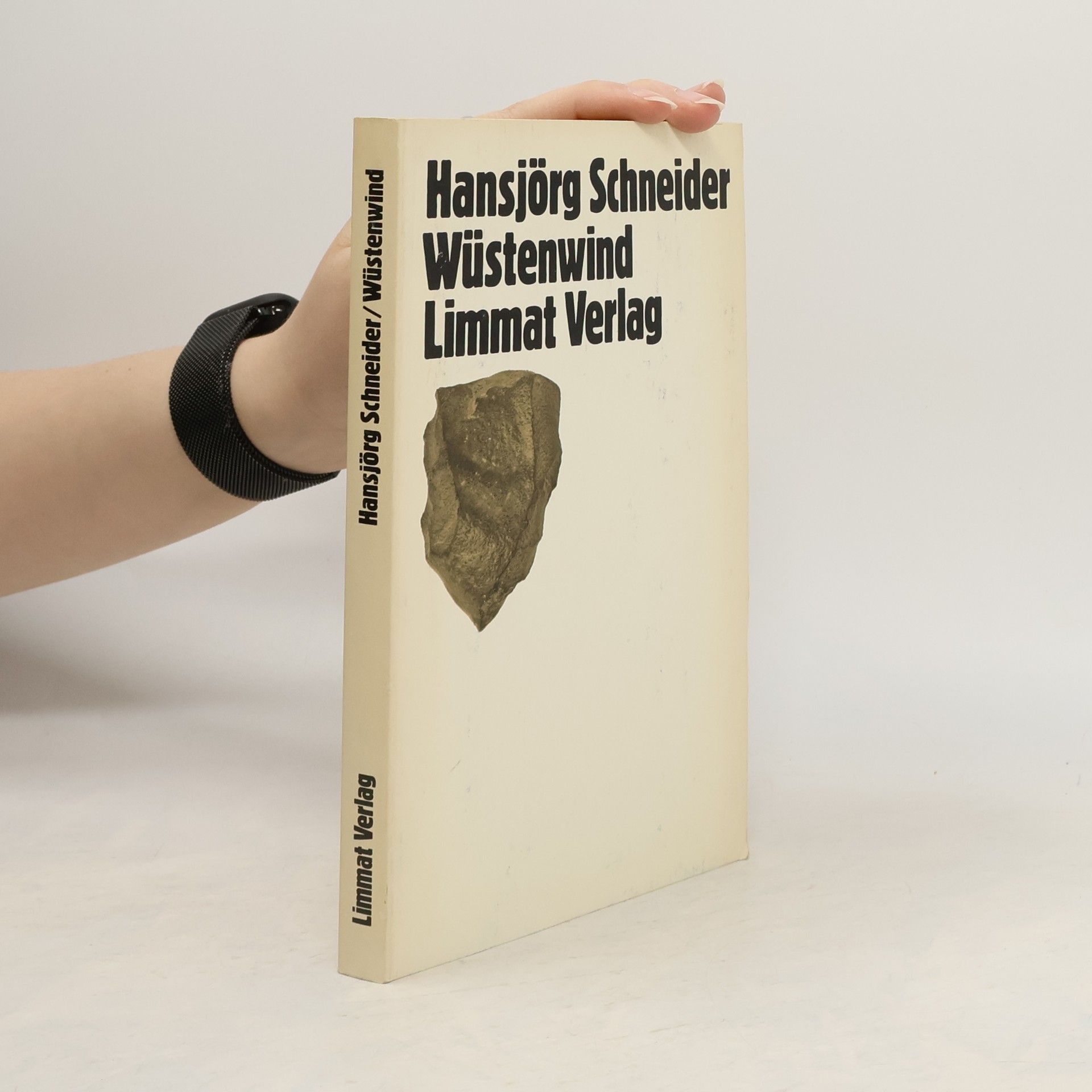 Hansjörg Schneider Wüstenwind