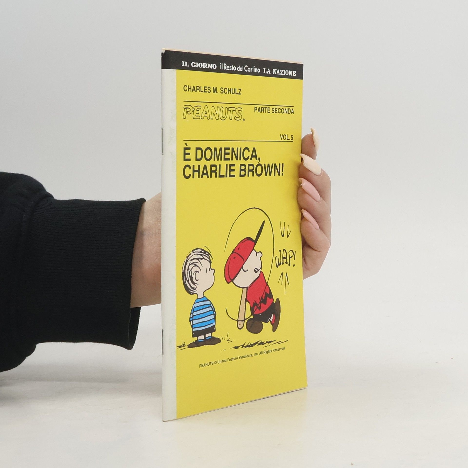 Kolektiv autorů Peanuts. È domenica, Charlie Brown!